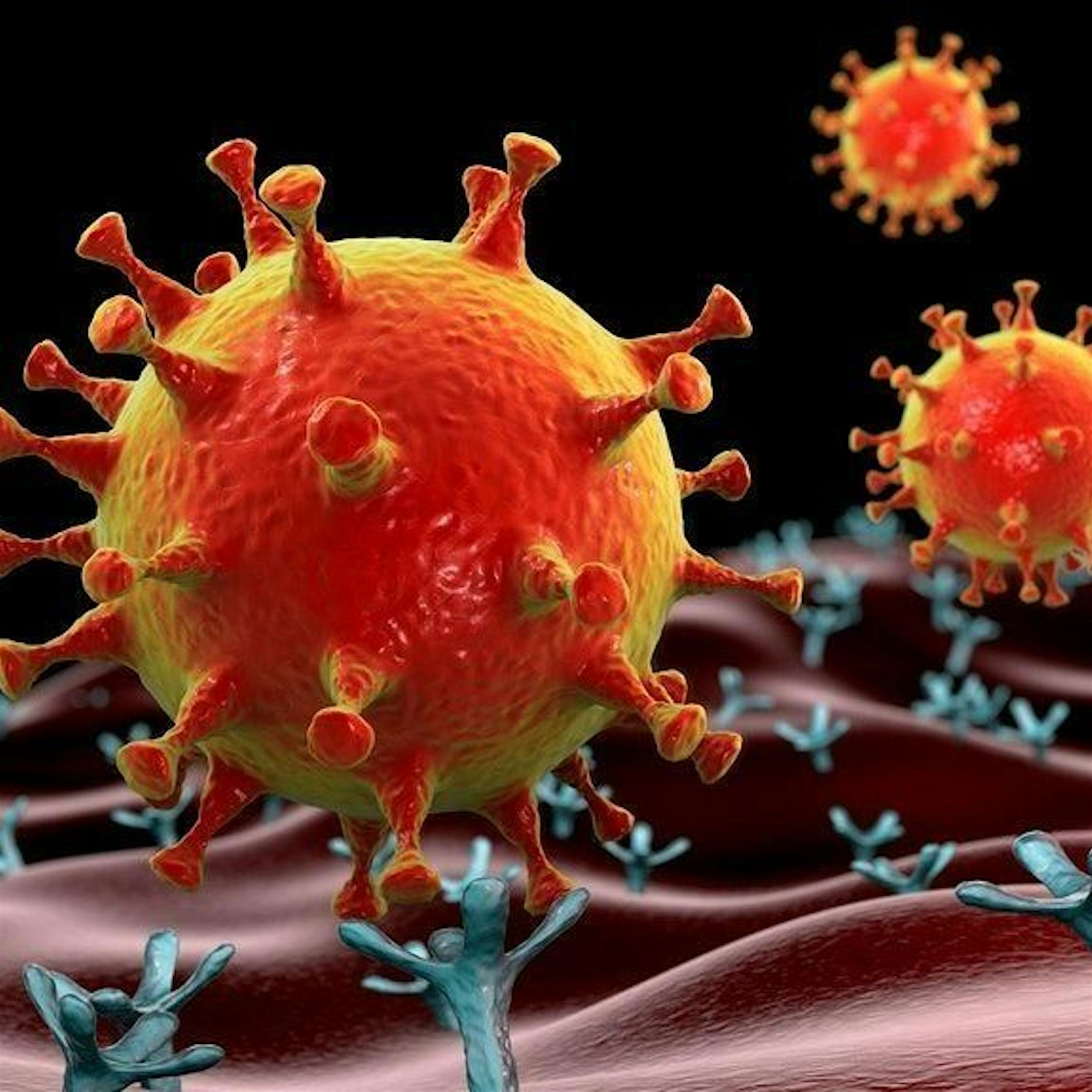 Corona in Deutschland: Inzidenz auf neuem Höchststand von 263,7