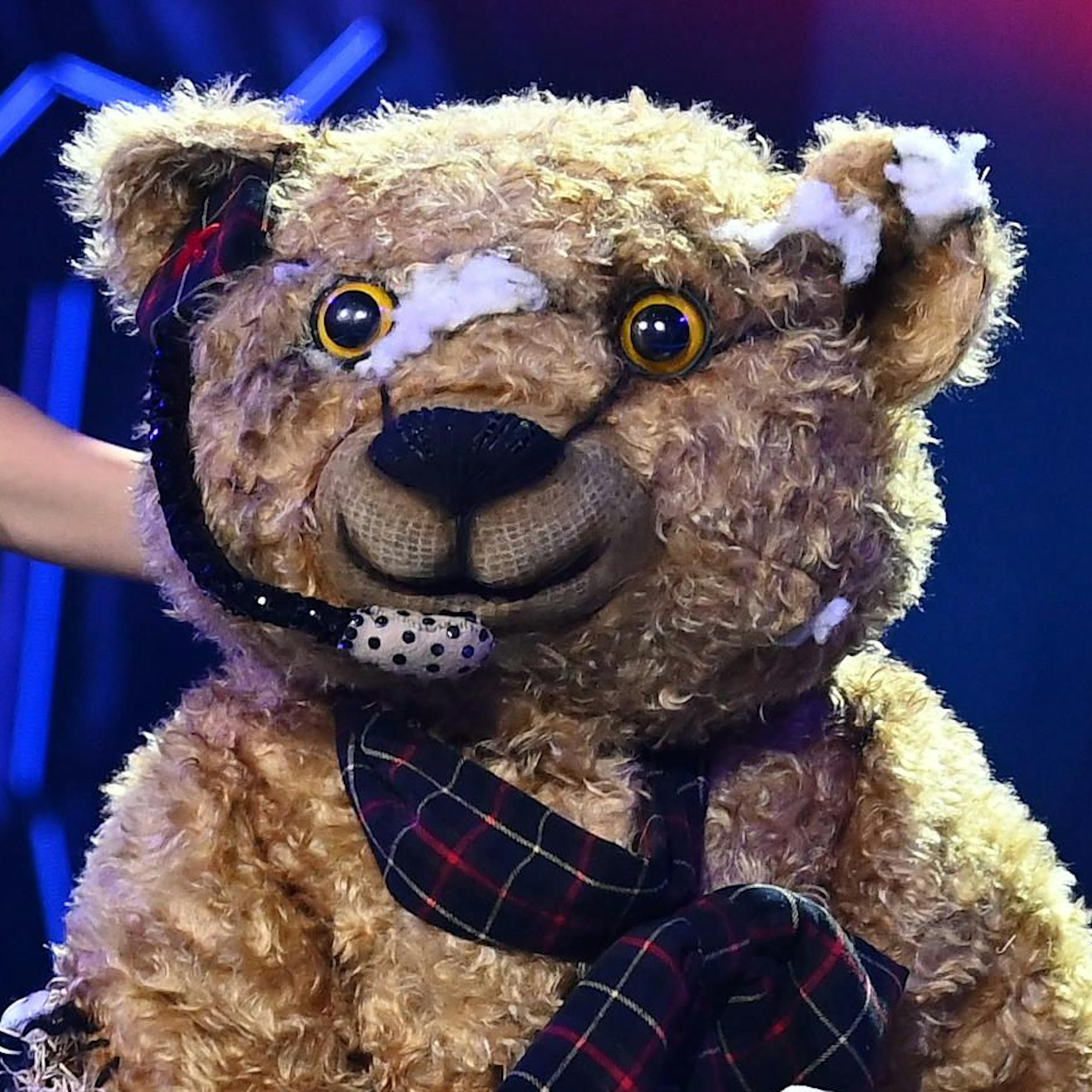 „The Masked Singer“ enthüllt: Dieser Star steckt im Teddy! Kurz vor dem Halbfinale fällt plötzlich ein völlig neuer Name…