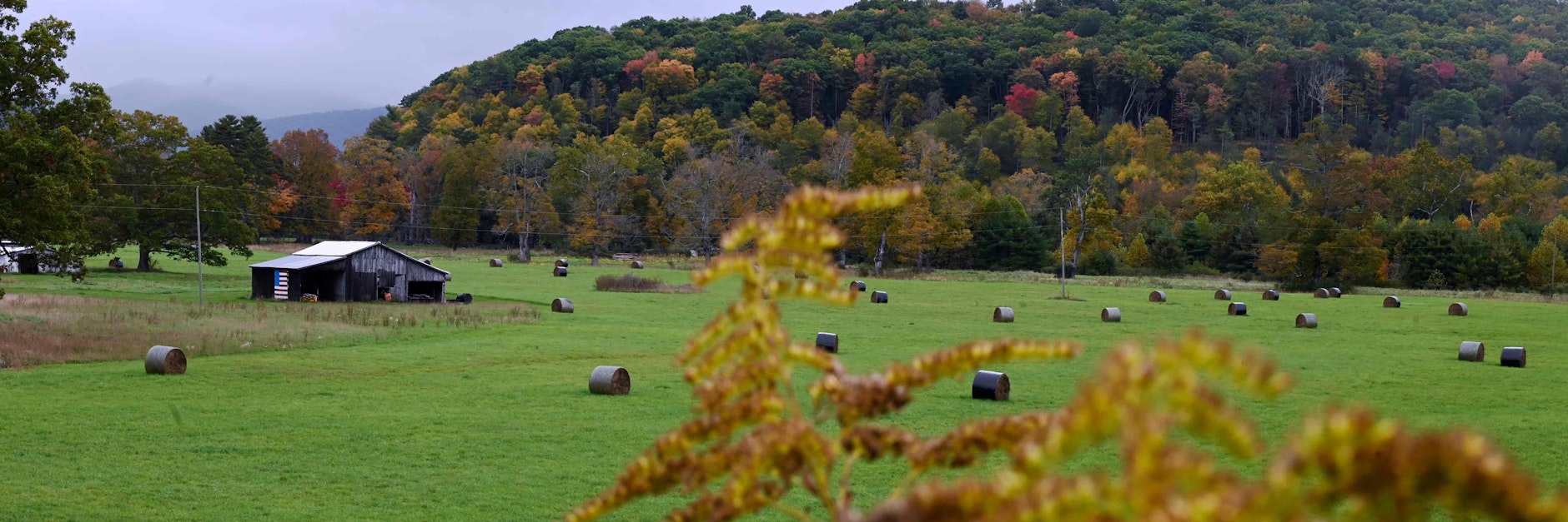 Schon seit mehr als einem halben Jahrhundert ist Green Bank ein offizielles Funkloch - denn der kleine Ort im US-Bundesstaat West Virginia gehört zur „National Radio Quiet Zone“.