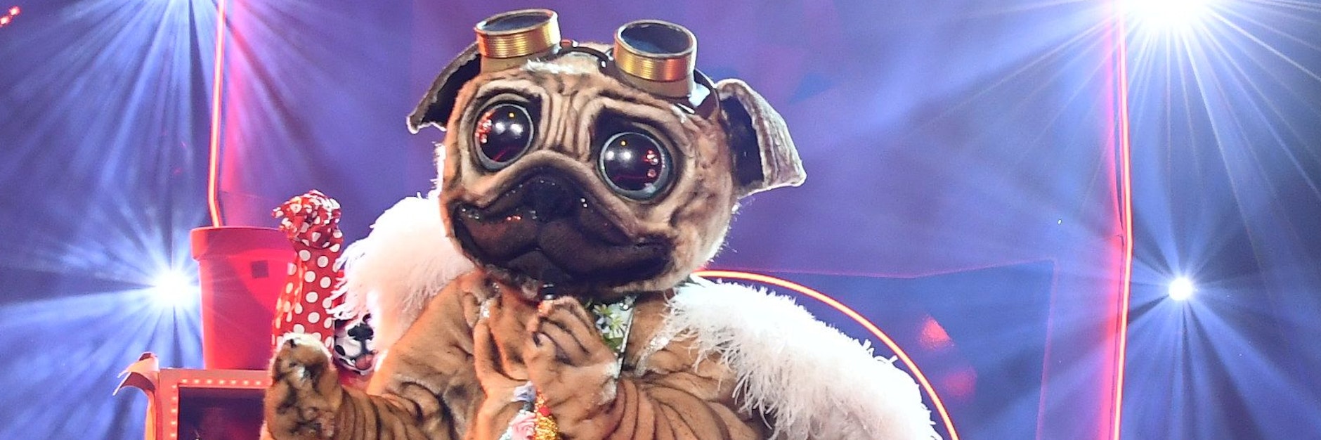 Der Mops bei seinem Auftritt auf der „Masked Singer“-Bühne. Aber wer steckt im Kostüm?