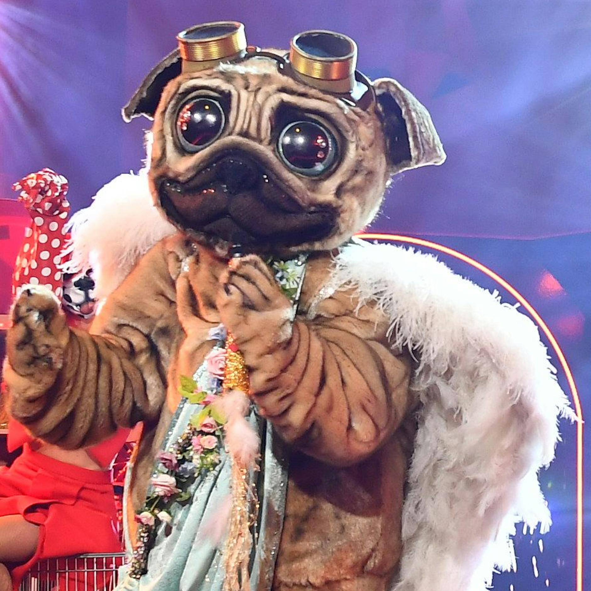 Fake-Vorwürfe bei „Masked Singer“! Krasse Theorie beim Mops: Steckt SIE im Kostüm? Darum macht ER die Zuschauer wütend…