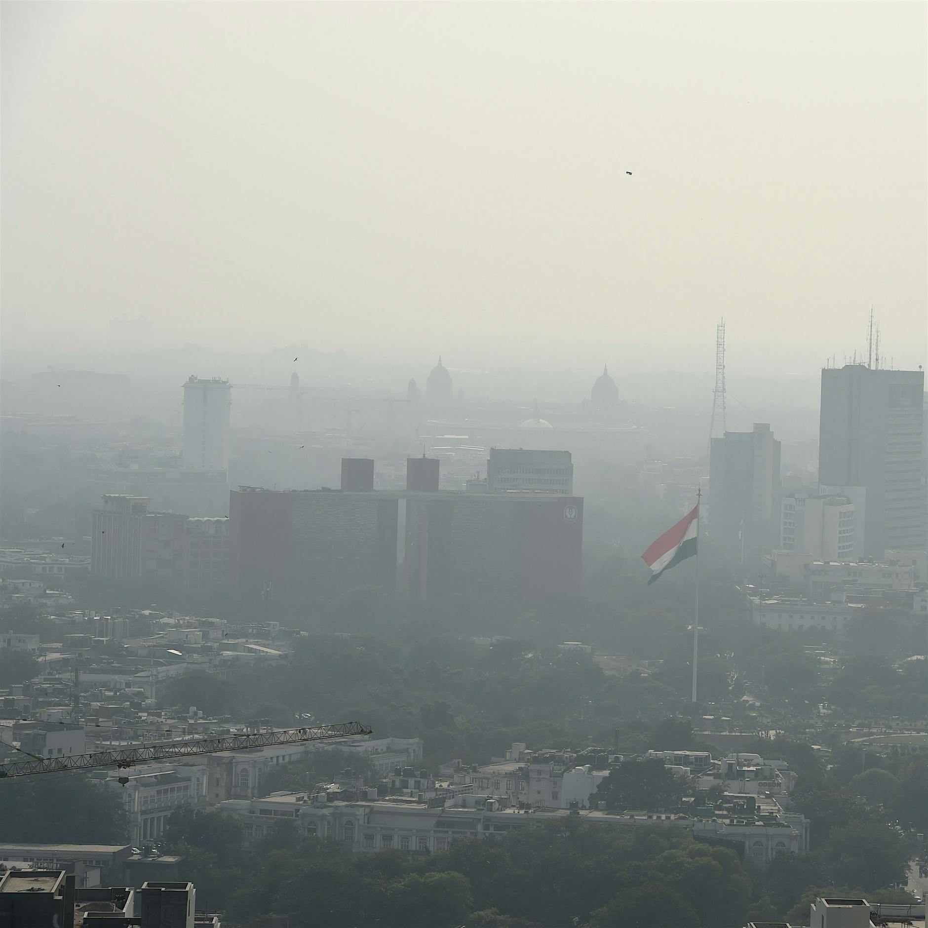 Smog in Indien: Kinder in Neu Delhi dürfen nicht zur Schule