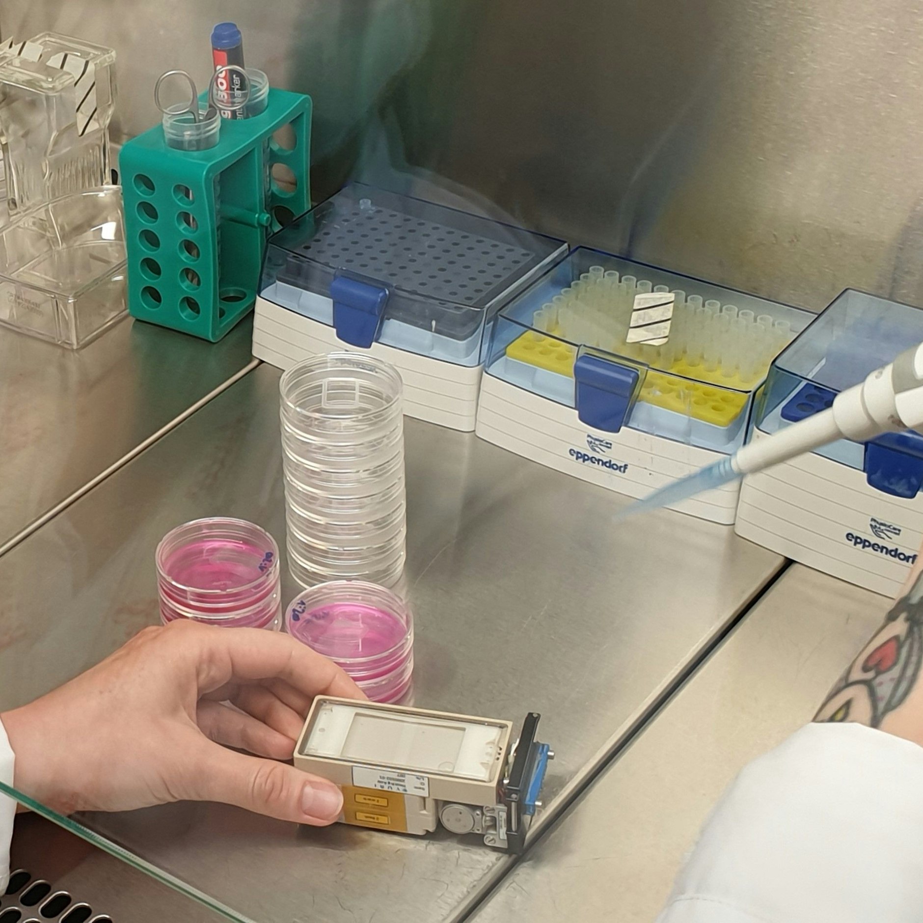 Cellbox-3: So klein ist das Mikrolabor, in dem in der ISS dreidimensionale Zellkulturen getestet werden.