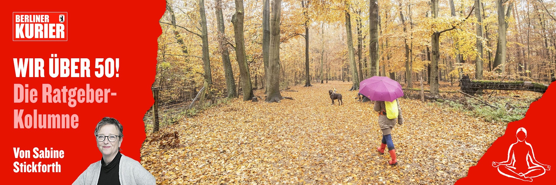 Ein Spaziergang im Herbstwald mit Hund ist Erholung pur - manche nennen es Waldbaden.