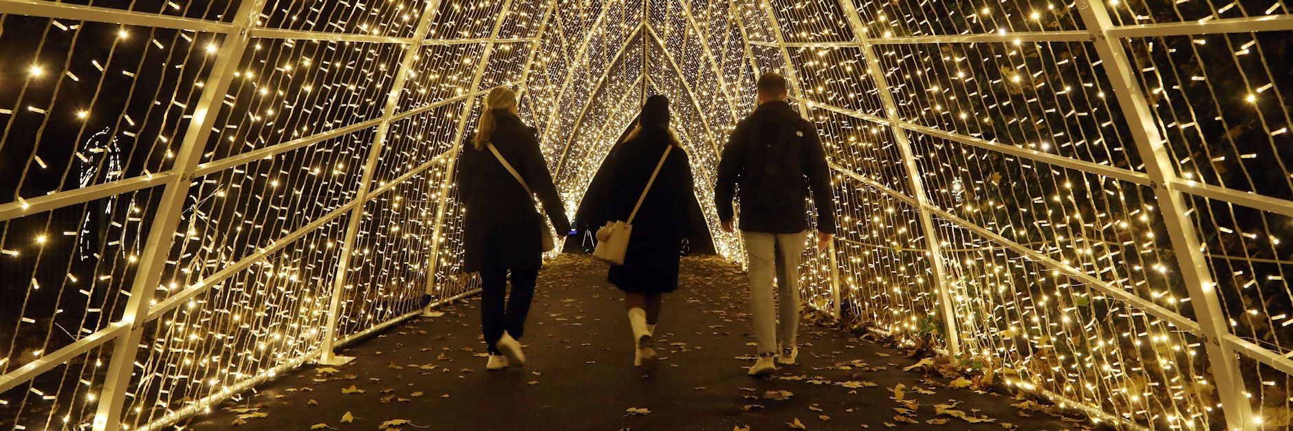 Im Tierpark wartet auf die Besucher jetzt ein echtes Lichterspektakel.