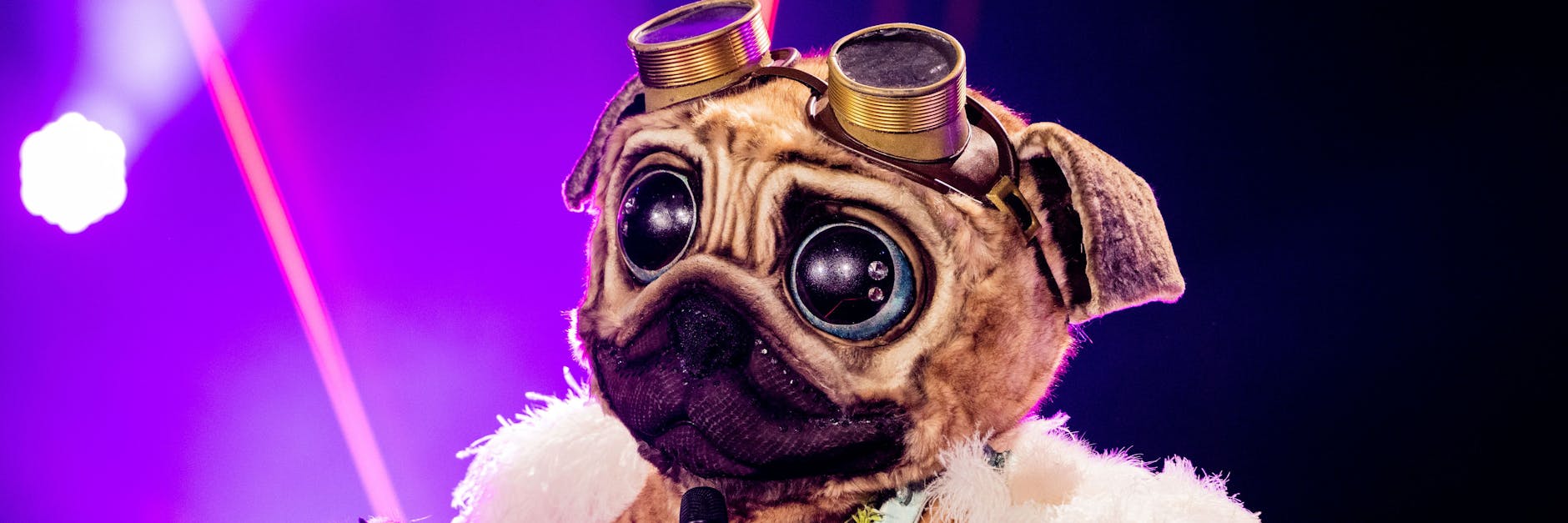 Der Mops steht auch im Finale von „The Masked Singer“ am Sonnabend auf der Bühne.