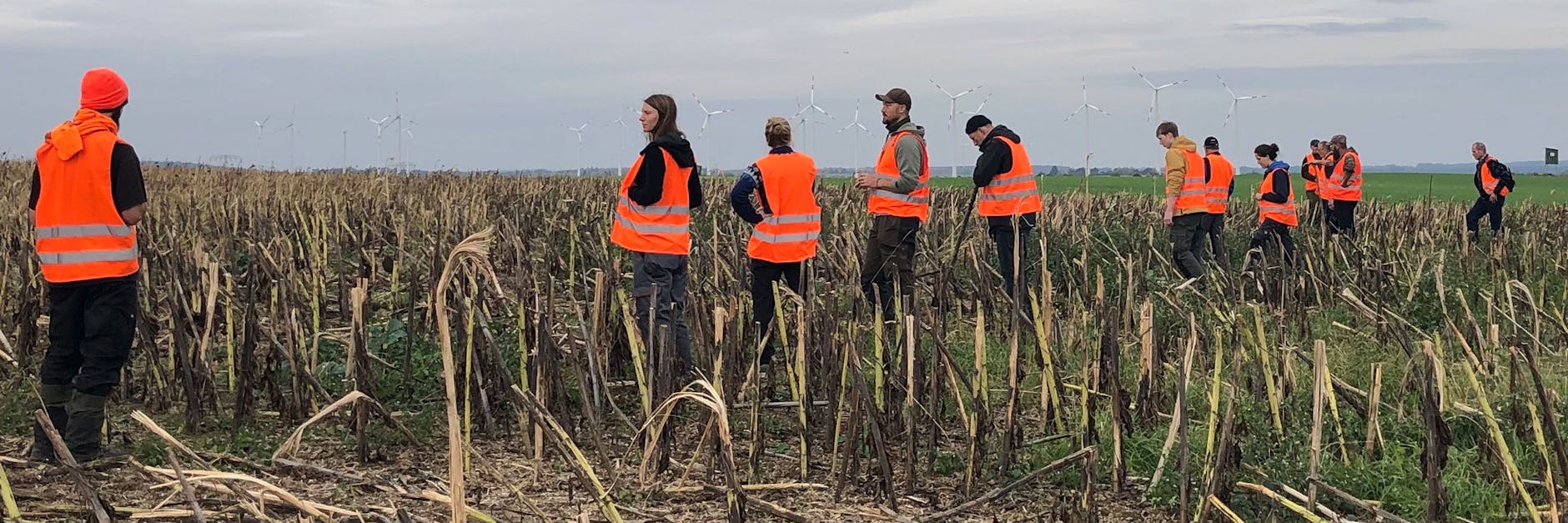 Landwirte können ihre Felder erst wieder bestellen, wenn sie gründlich abgesucht und eingezäunt sind.