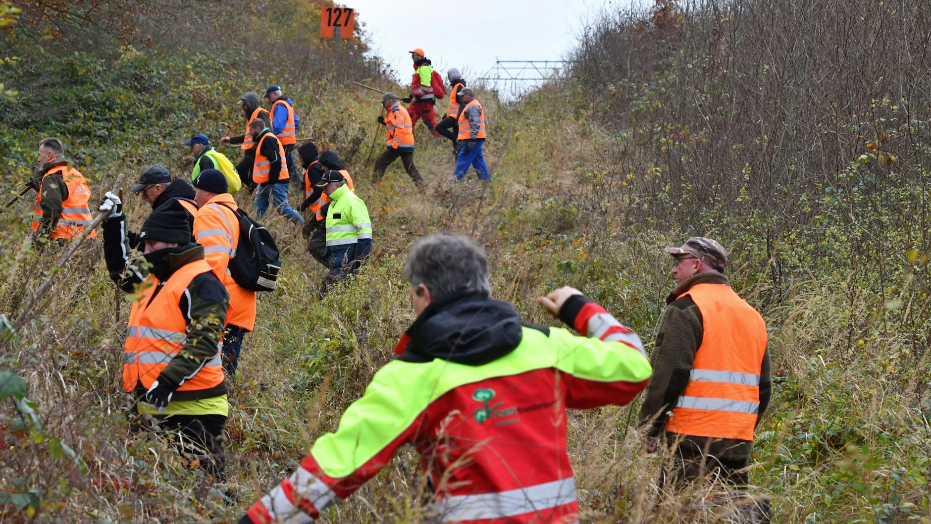 In langen Reihen durchkämmen Helfer unwegsames Gelände. Auf der Suche nach Kadavern und Knochen verendeter Wildschweine. 
