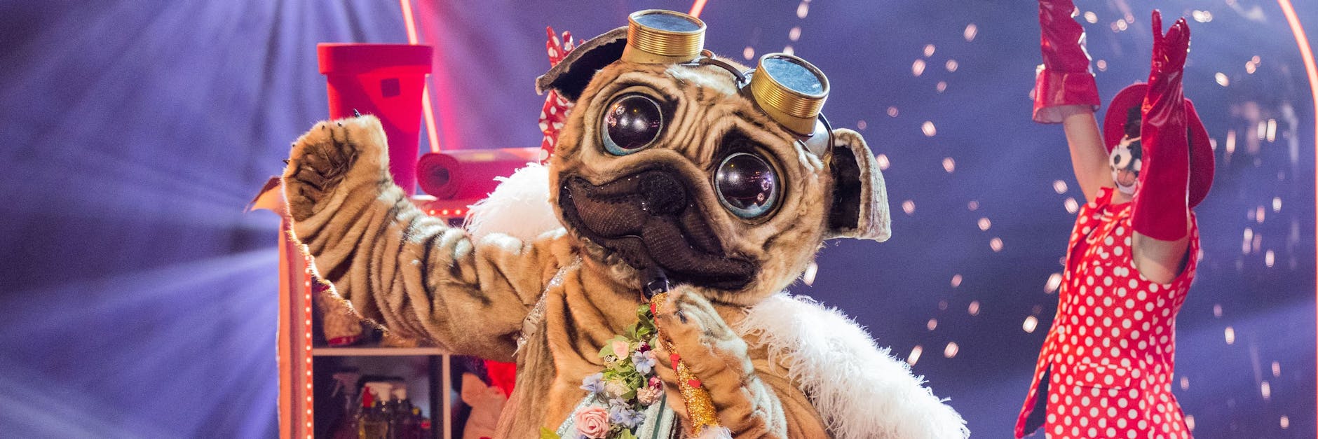 Auch der Mops tritt am Abend im Finale von „The Masked Singer“ auf.