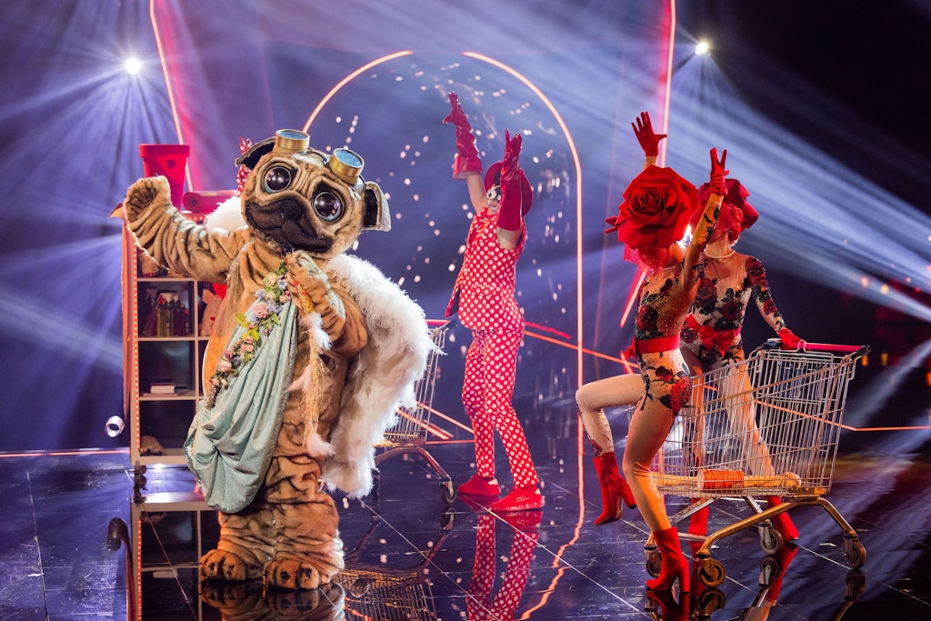 „the Masked Singer“ Vor Dem Großen Finale Enthüllt Diese Vier Sind