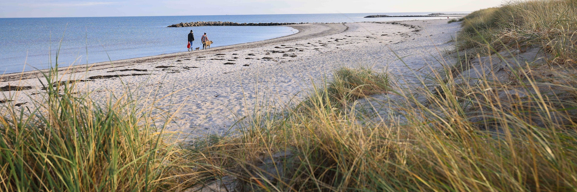 Die Deutschen zieht's in den Norden. Schleswig-Holstein steht als Wohnort weit oben auf der Wunschliste vieler Deutscher.&nbsp;
