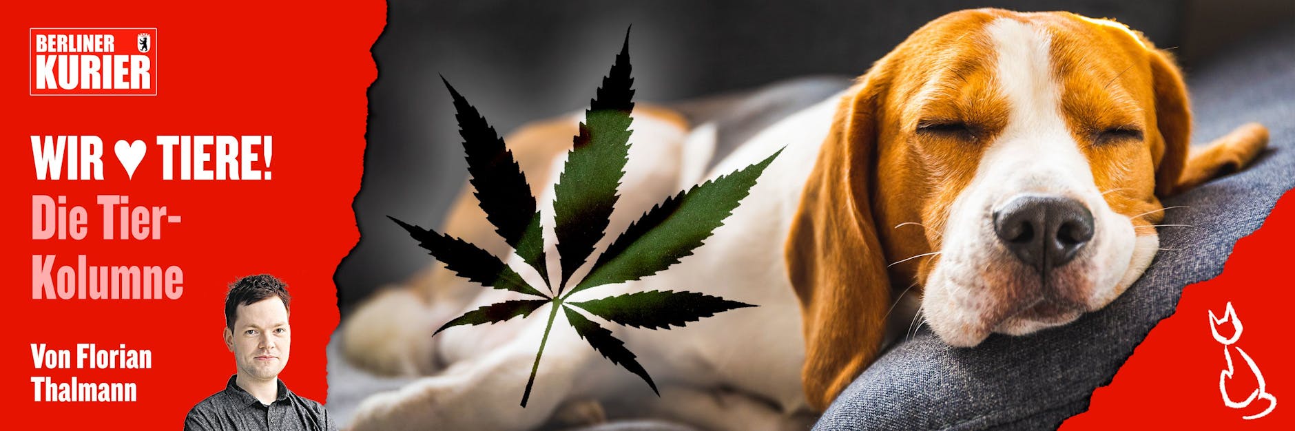 Wer kifft, sollte besonders gut auf seine Vierbeiner aufpassen, findet KURIER-Autor Florian Thalmann.