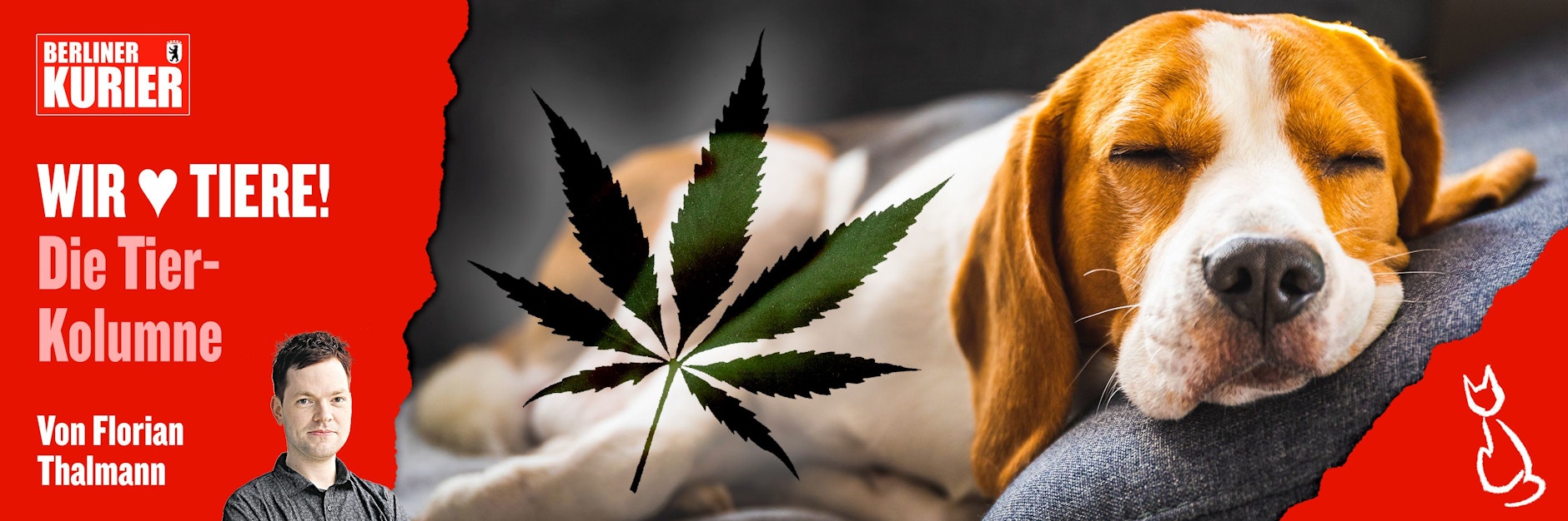 Wer kifft, sollte besonders gut auf seine Vierbeiner aufpassen, findet KURIER-Autor Florian Thalmann.