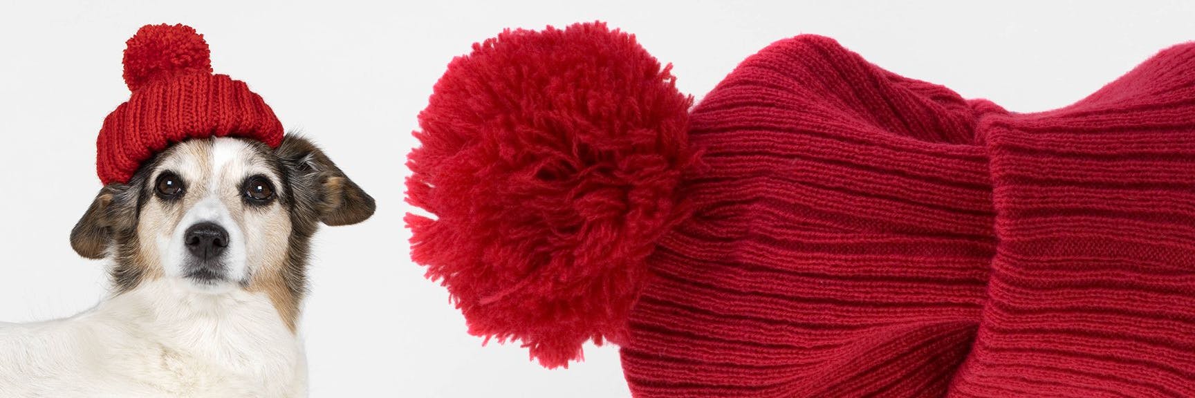 Wofür ist die Bommel an der Bommelmütze? Wir verraten es Ihnen...