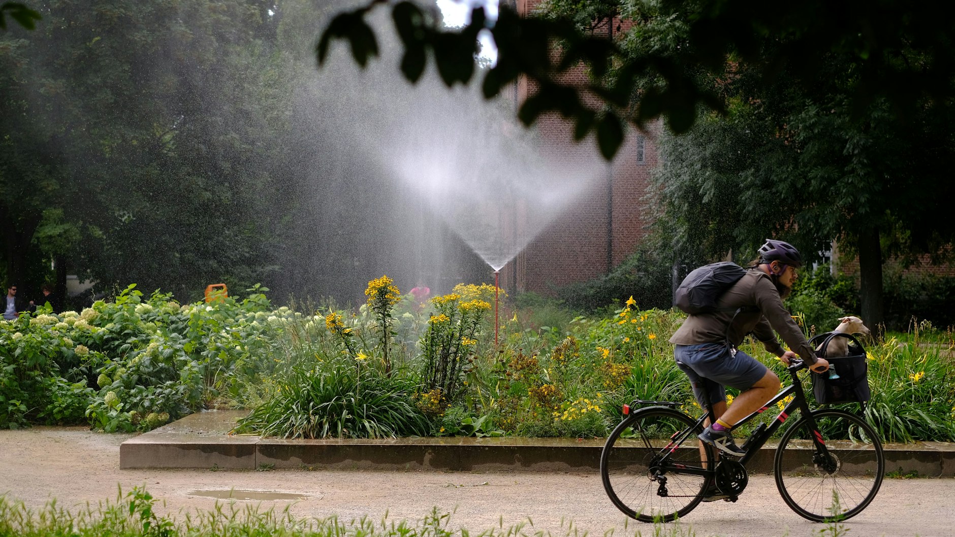 Auch in der Sommerhitze soll die Stadt lebenswert sein. Die neue Koalition will sie grüner machen. Hier Monbijoupark in Berlin-Mitte.