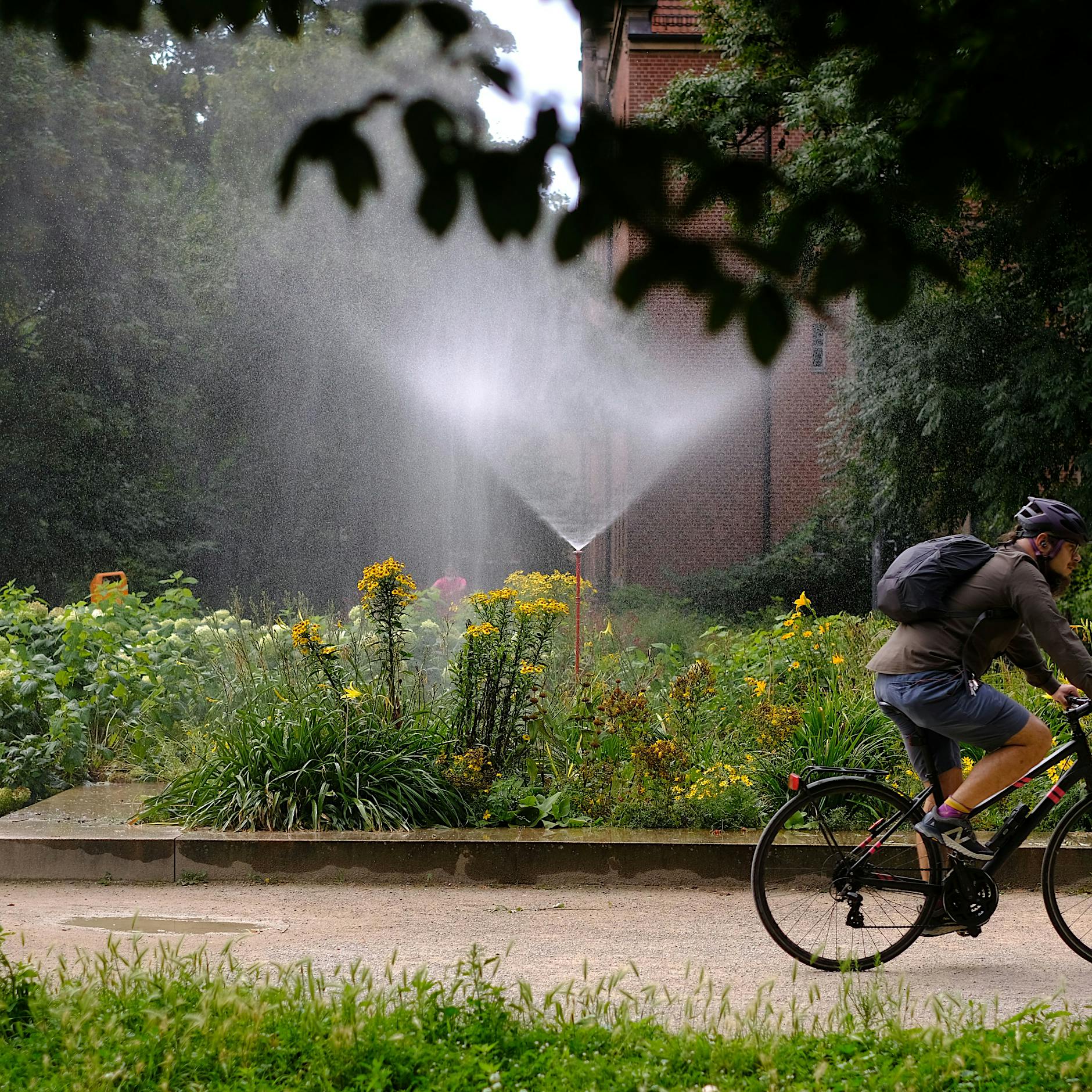 Berlin: Das plant die neue Koalition in Sachen Klimaschutz