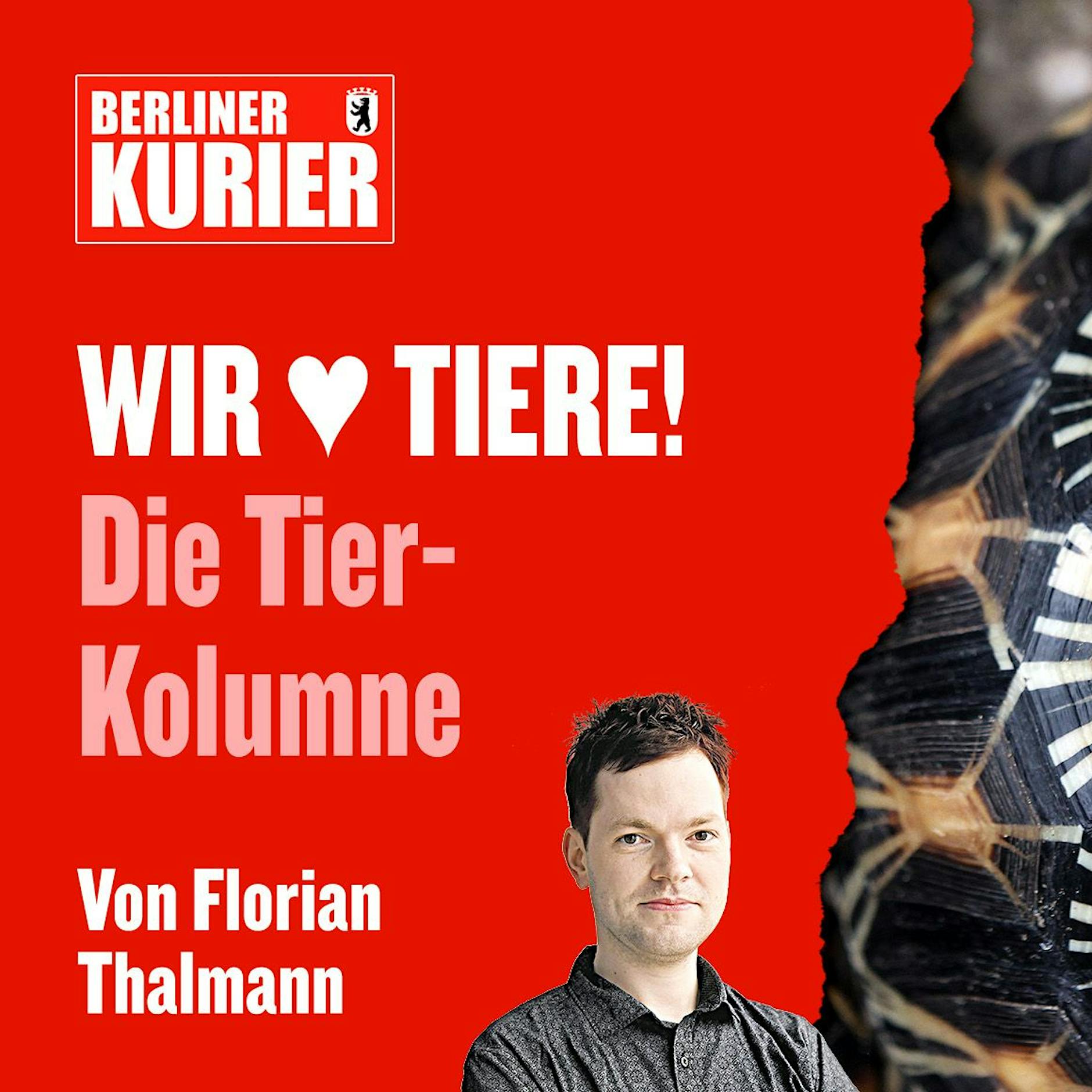 Tier-Schicksal mit Happy End: Hinter den Strahlenschildkröten im Tierpark Friedrichsfelde liegt eine unfassbare Reise