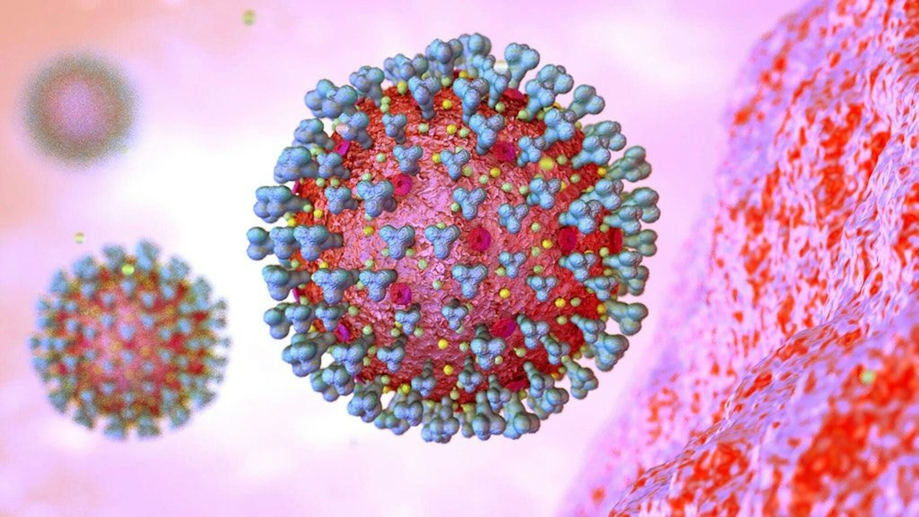Das Coronavirus in einer Illustration