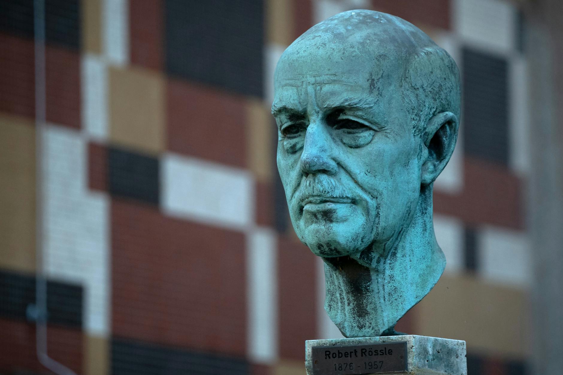 Büste von Robert Rössle in Buch - sie steht in der noch gleichnamigen Straße