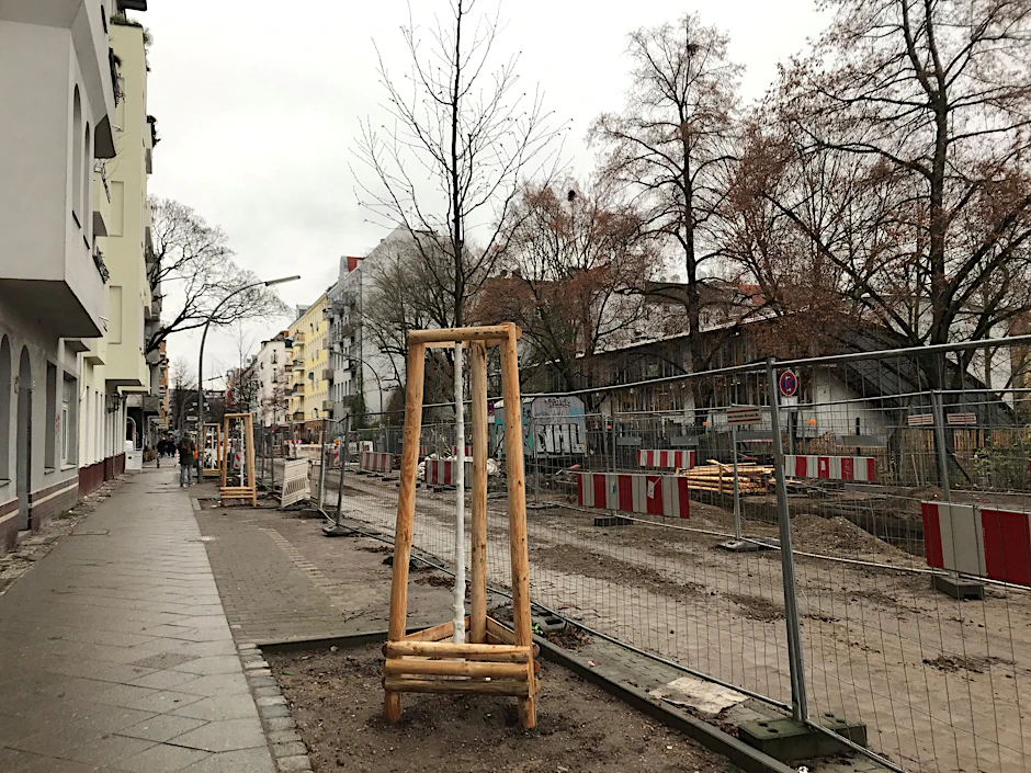 Frisch gepflanzte Zukunftsbäume in Neukölln.&nbsp;