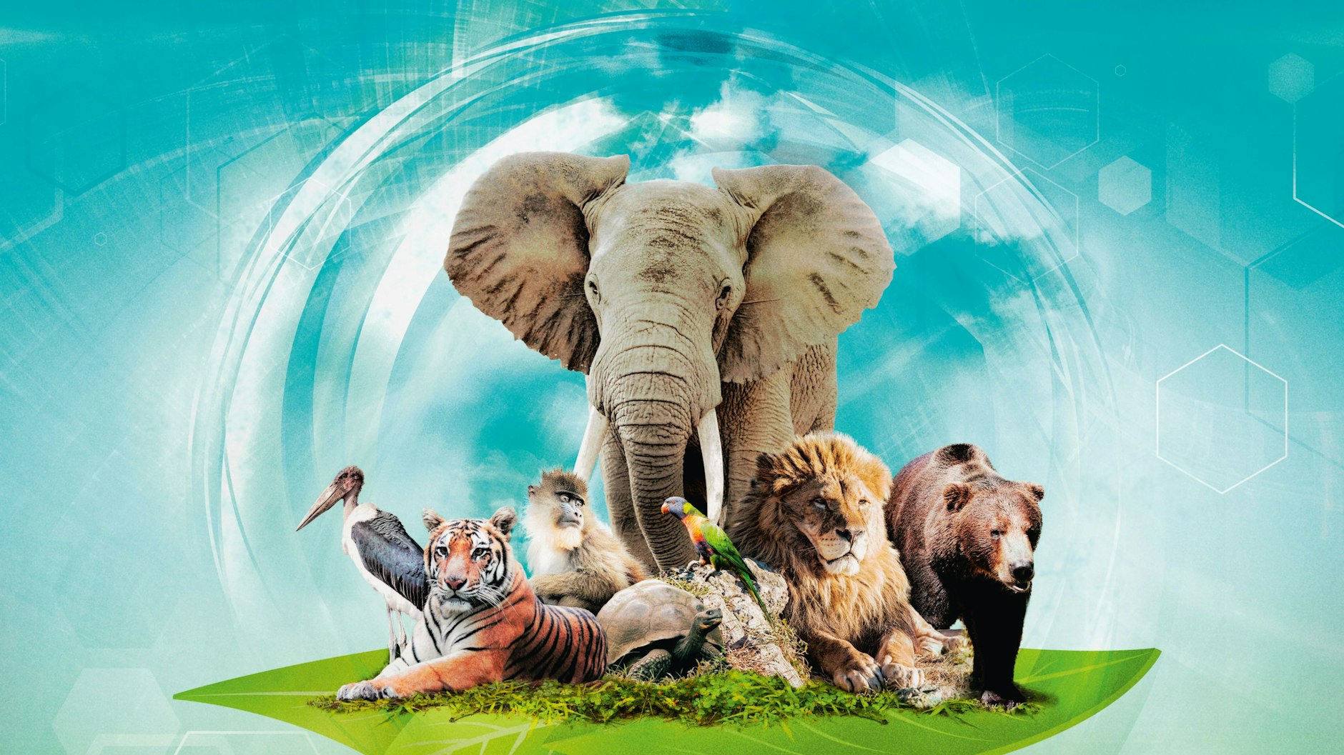 Für Experten: Bei „Arche Nova“ geht es nicht nur darum, einen Zoo aufzubauen, sondern auch möglichst viele Artenschutzprojekte zu unterstützen.&nbsp;