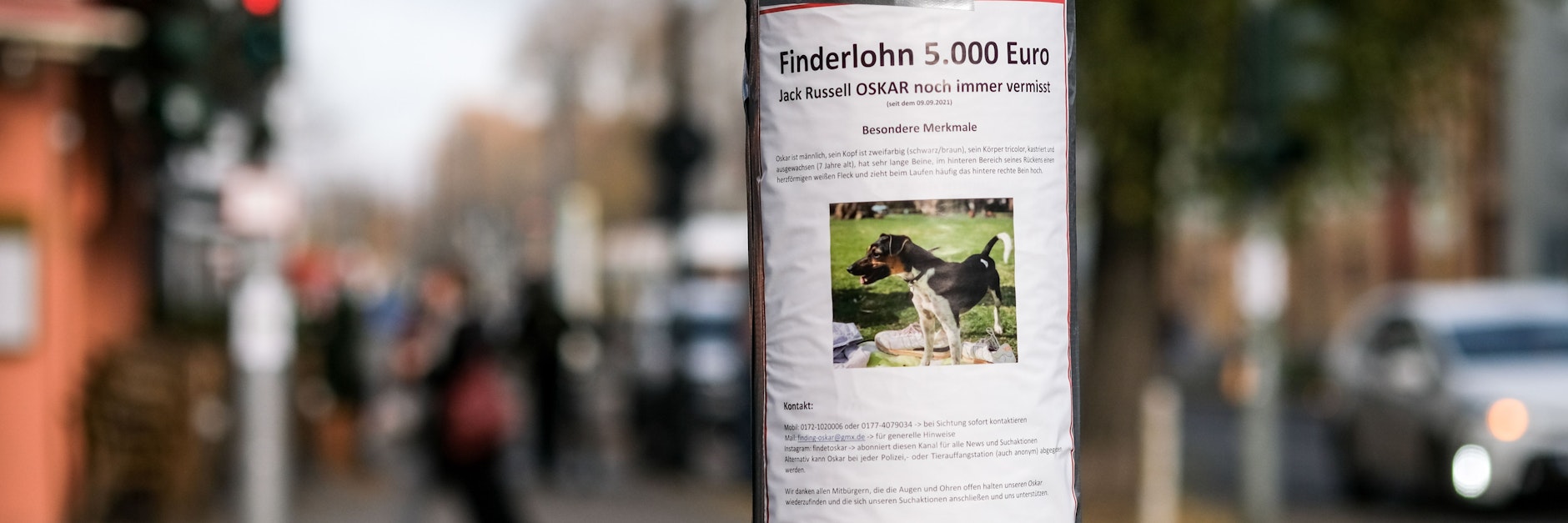 Auf einem Zettel an einem Laternenpfahl in Prenzlauer Berg wird mit einem Finderlohn nach dem vermissten Hund Oskar gesucht. Fast drei&nbsp;Monate nach dem Verschwinden von Jack Russell Terrier Oskar wollen die Besitzer die Suche noch einmal verstärken.
