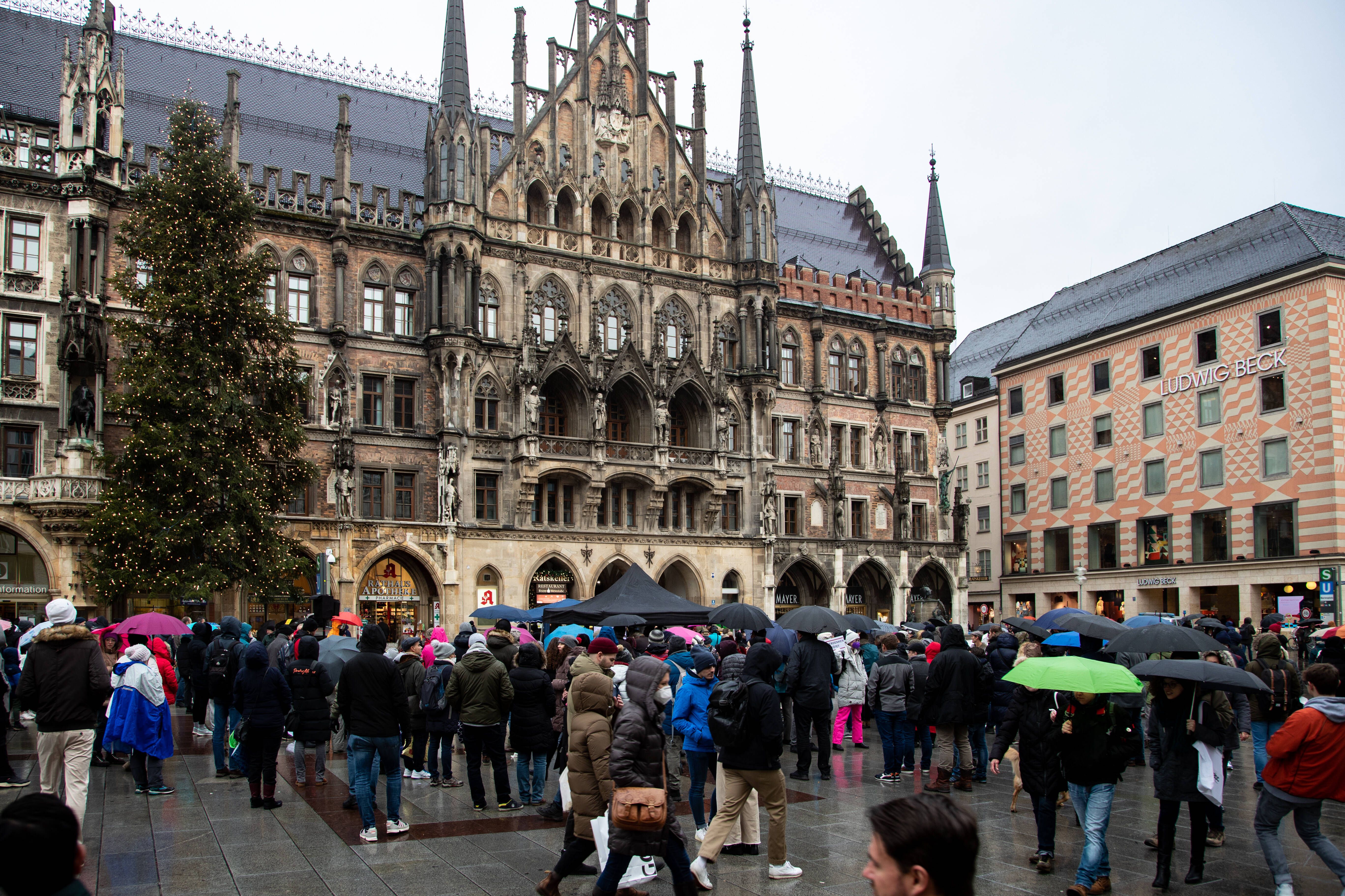 Image - Wenn vom Impfstoff Kuhohren wachsen