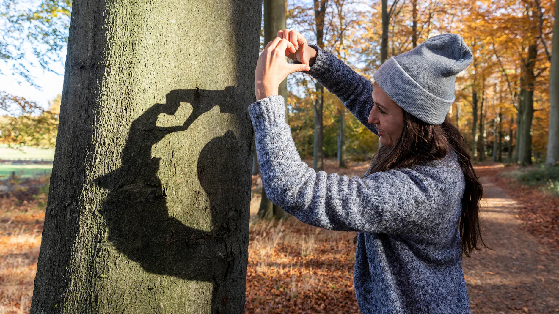 Ein ausgewachsener Baum steht an einer Waldlichtung. In Wales sollen die Menschen auf Wunsch der Regierung in Zukunft von sich aus mehr Bäume pflanzen.
