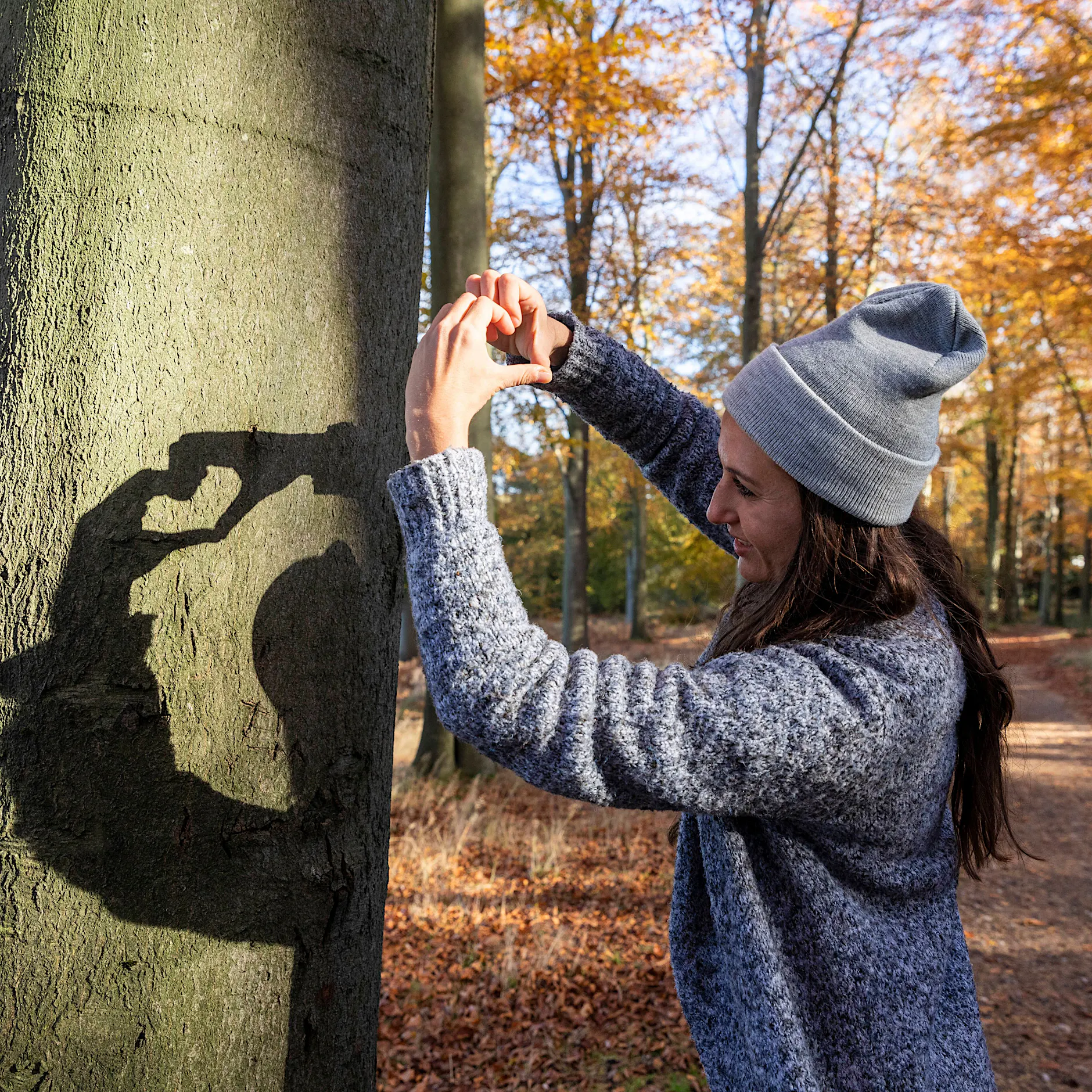 Kampf gegen Klimawandel: Wales schenkt jedem Haushalt einen Baum