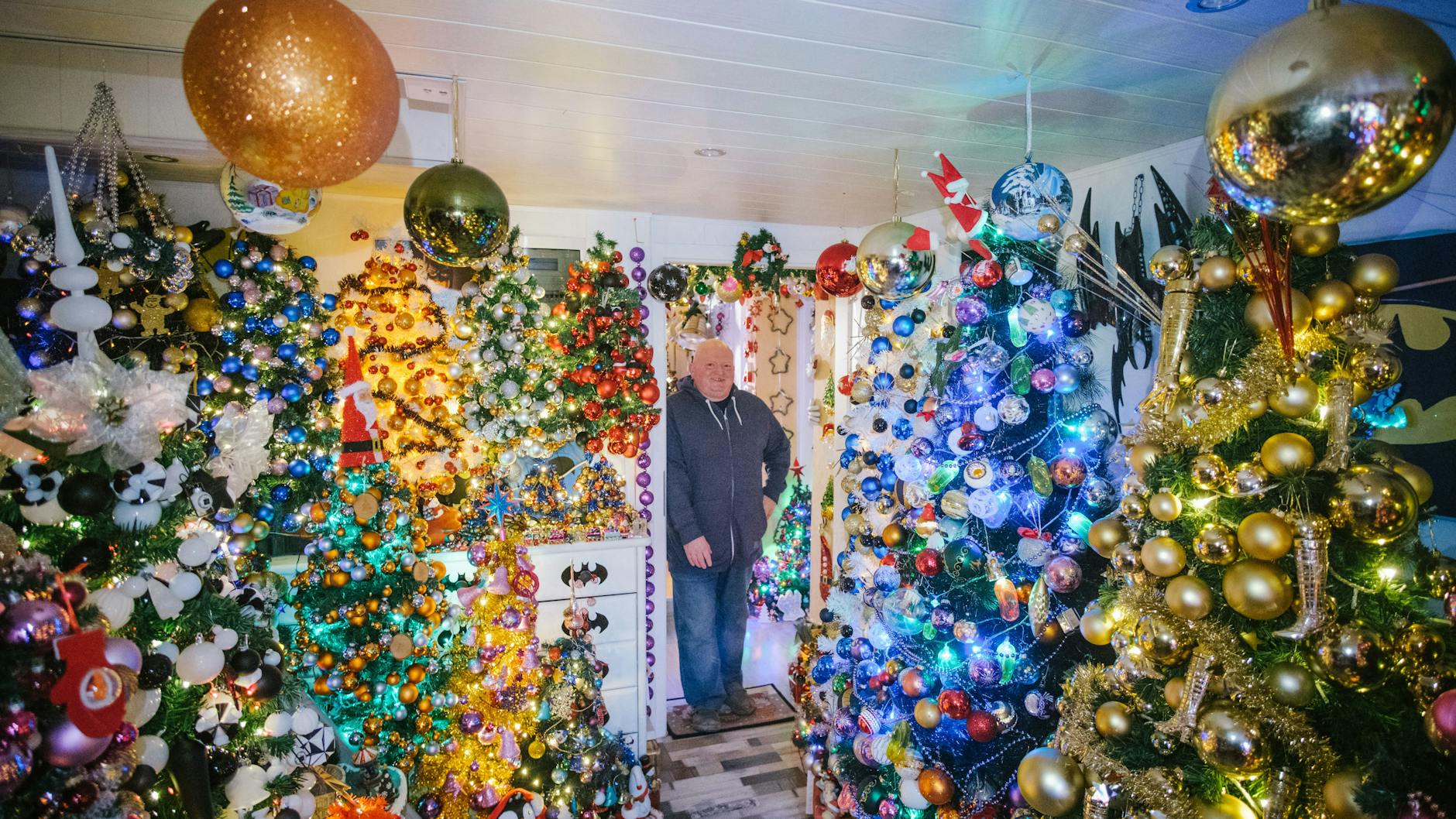 Der Herr der Bäume: Thomas Jeromin zwischen seinen Plastik-Tannen.