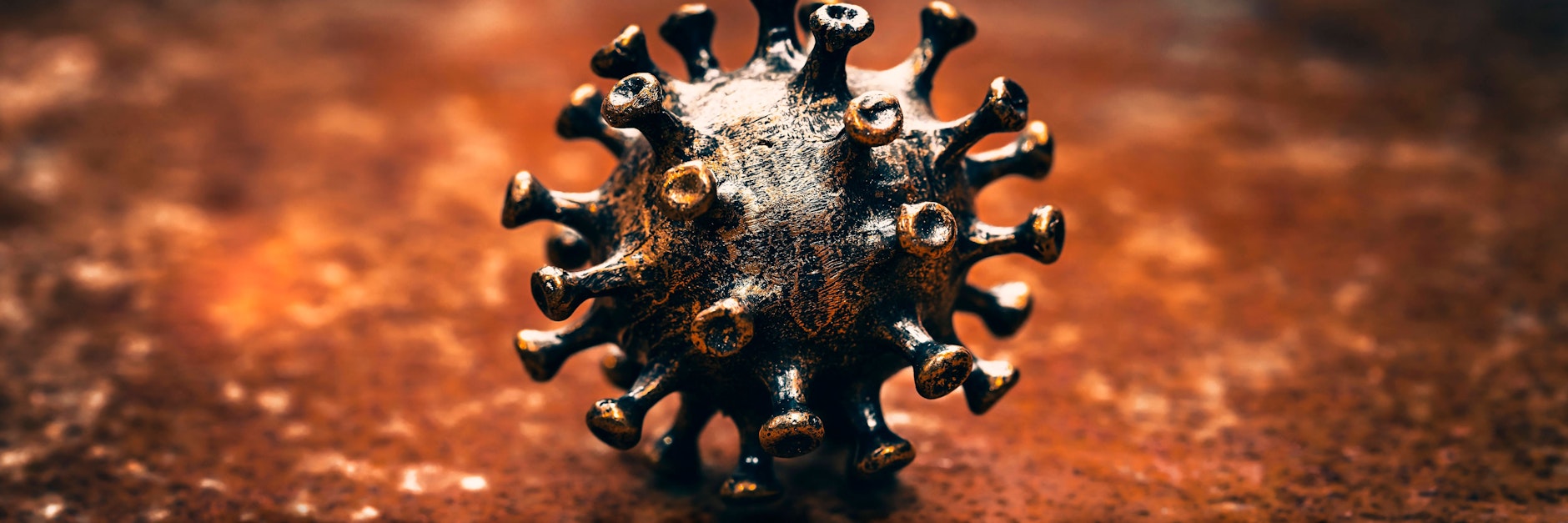 Die Omikron-Variante des Coronavirus