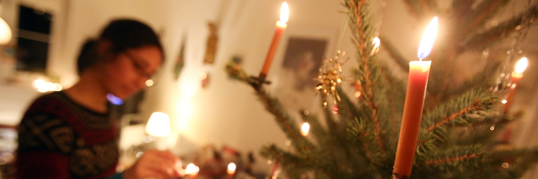 Den Weihnachtsbaum kann man auch mieten.