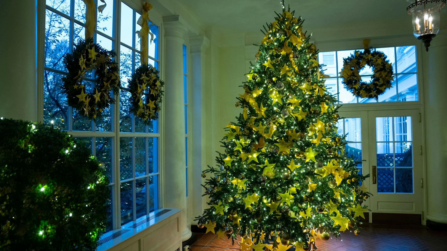 Vielen macht zu schaffen, dass sie für diesen schönen Anblick einen Baum „töten“.