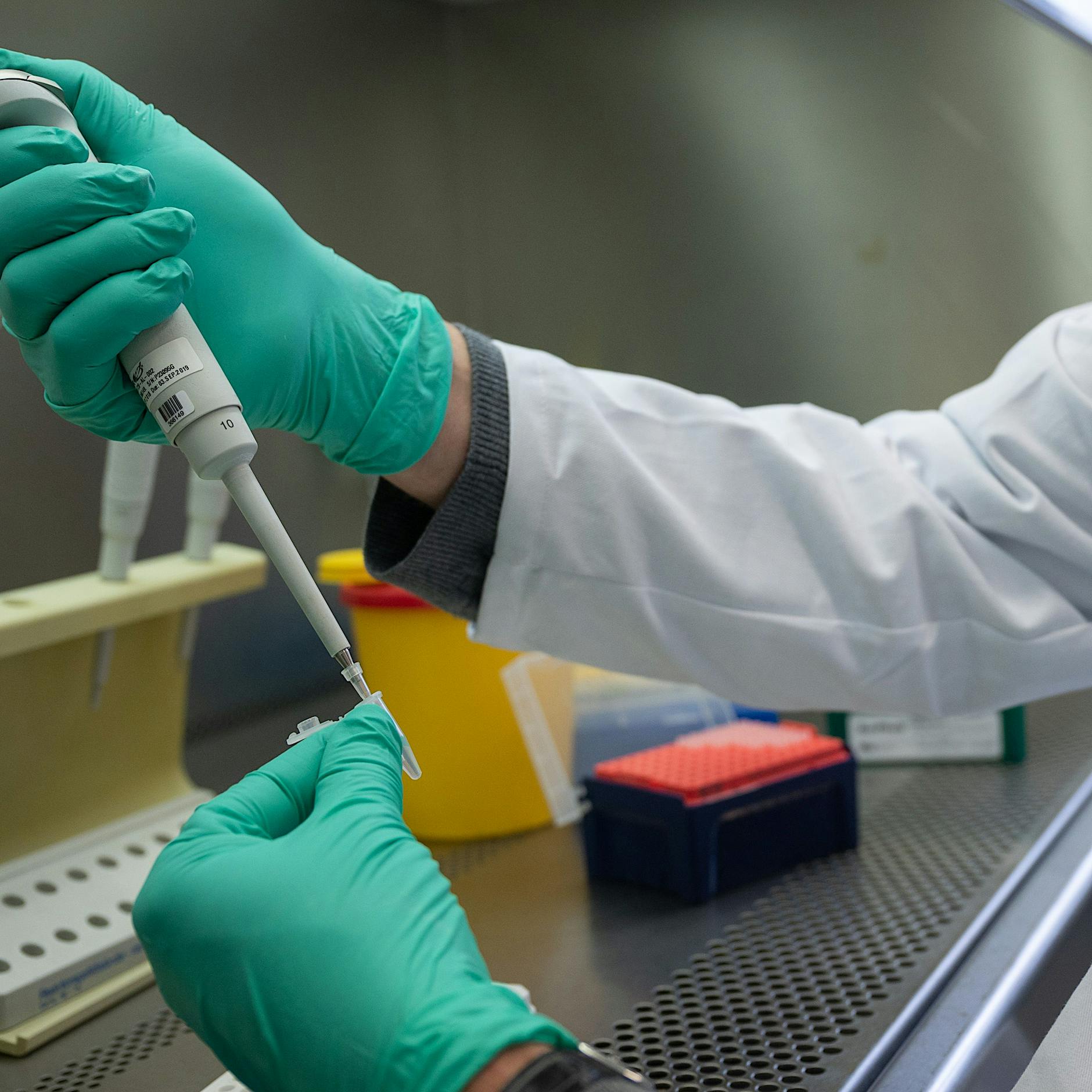 Omikron trotz Booster: Sieben Deutsche infizieren sich in Südafrika