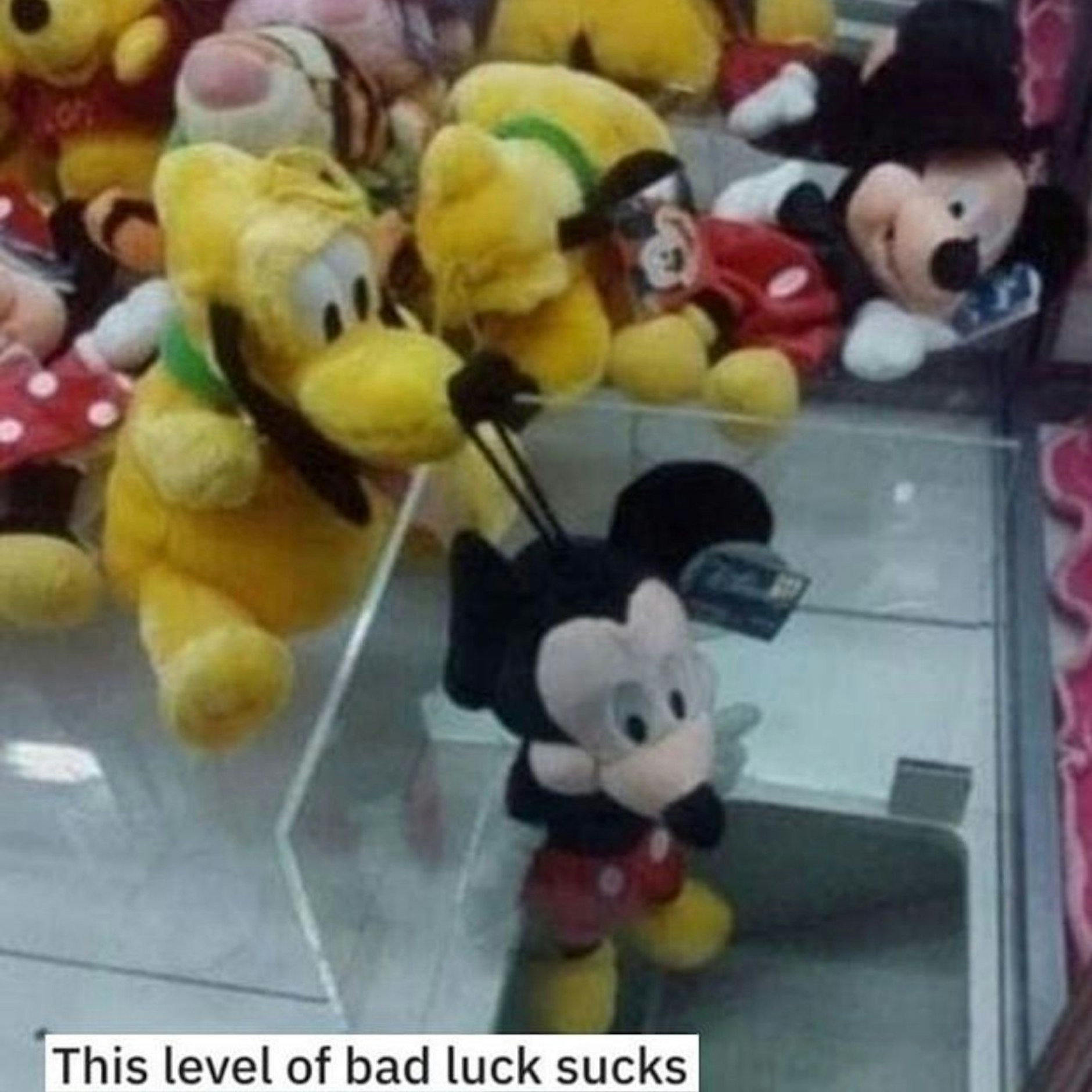 Manchmal gewinnt man und manchmal verliert man...