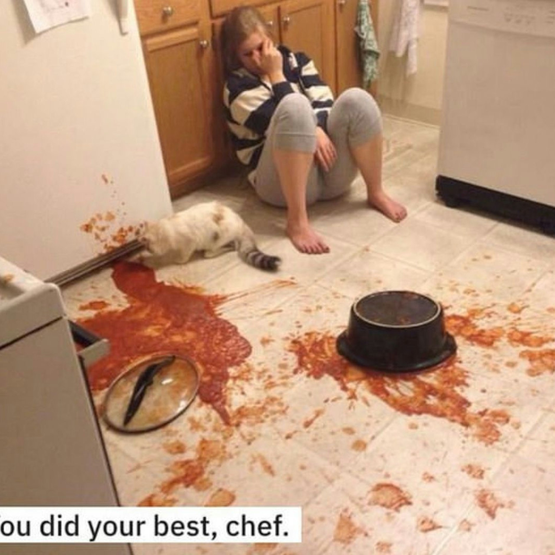 Wenn die Katze die gute Pasta-Sauce auf dem Küchenboden verteilt...