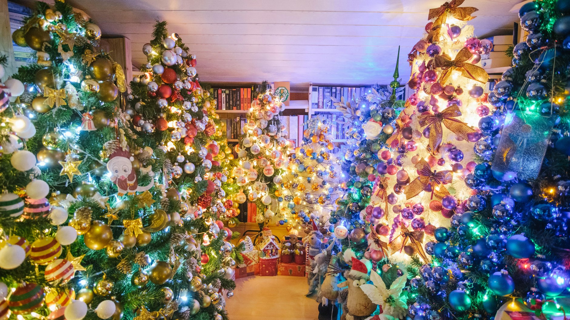 Weihnachtsdeko extrem Paar stellt sich 444 Weihnachtsbäume in die Wohnung