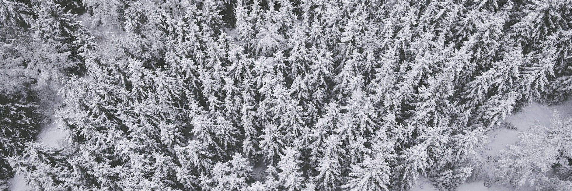 Schneebedeckte Landschaften gibt es derzeit nur in Hochlagen.