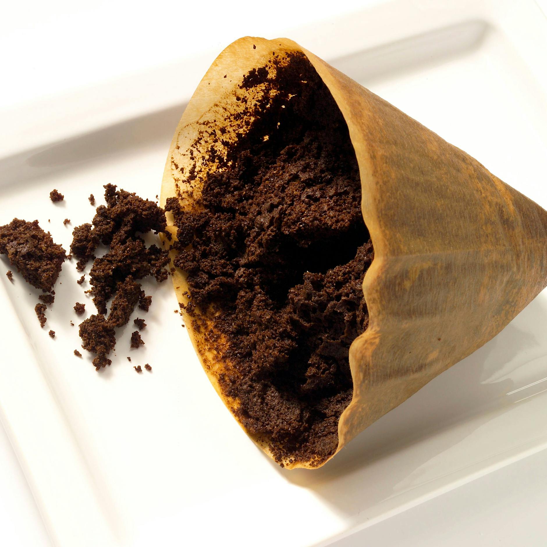 Kaffee als Dünger für Blumen: So tun Sie Ihren Pflanzen was richtig Gutes – für lau!