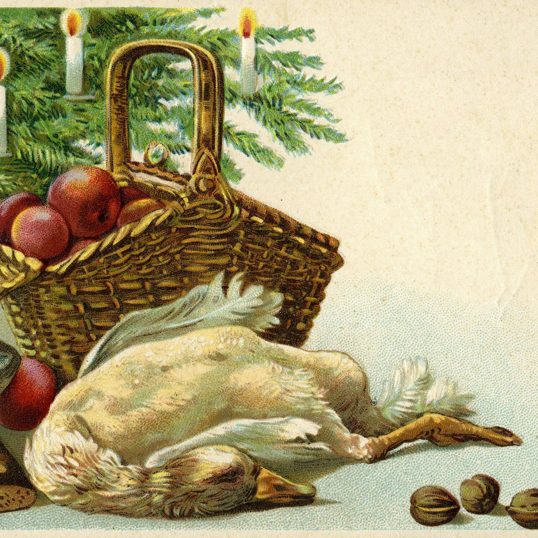 Wissen Sie schon, was Sie Weihnachten kochen? Nein? Gans oder gar nicht!