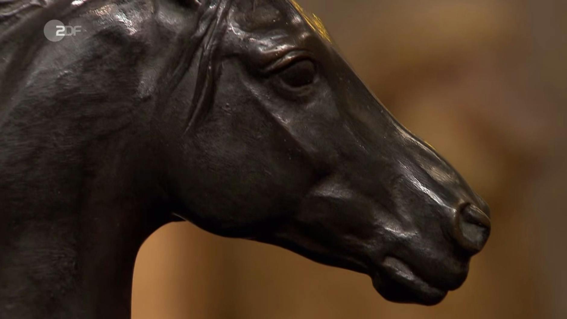 Wahnsinnig detailgetreu ist die Pferde-Büste, die bei „Bares für Rares“ den Besitzer wechseln soll.