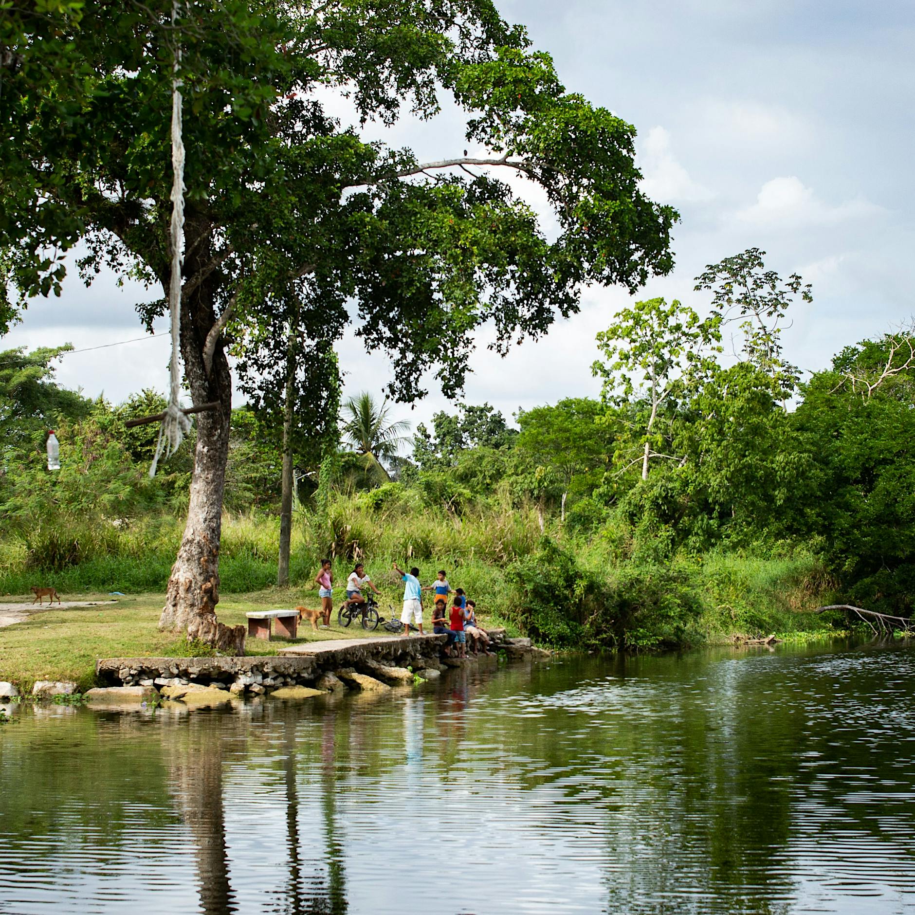 Impfgegner wollen die deutsche „Corona-Diktatur“ verlassen, aber wohin?