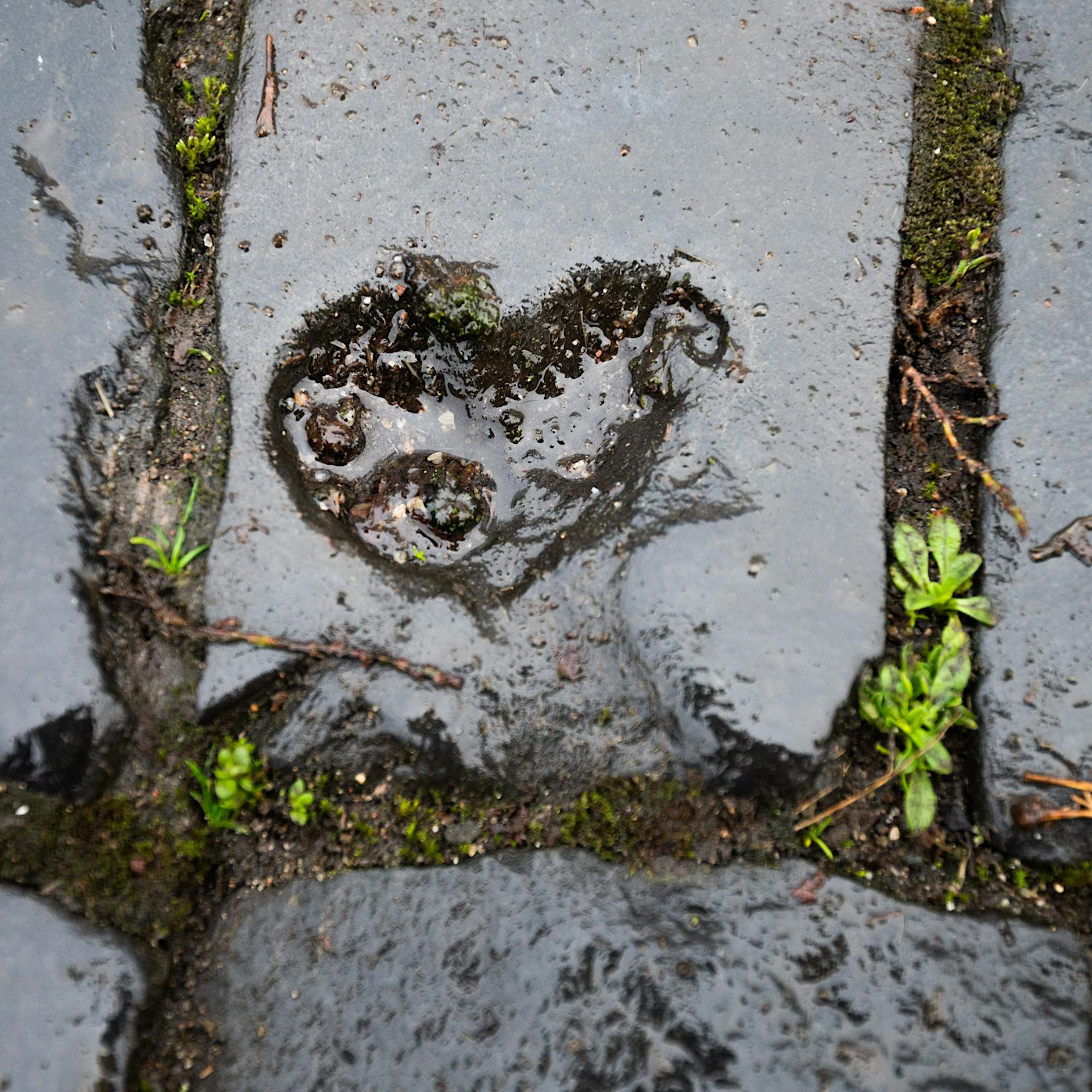 Ab wann braucht man bei Liebeskummer eine Therapie?