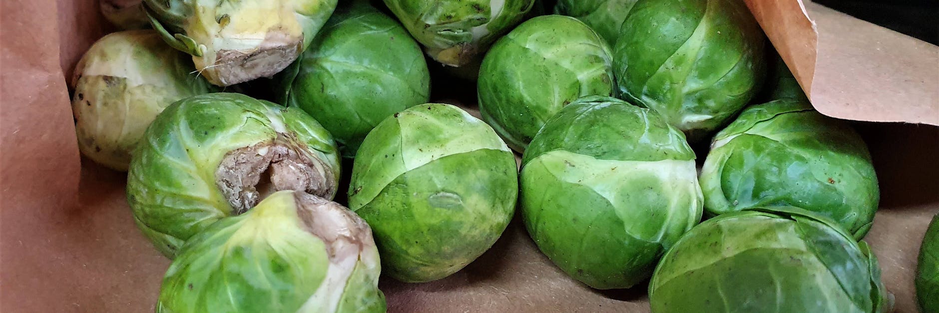 Es ist Rosenkohlzeit: Dieses leckere Gericht haben Sie bestimmt noch nicht probiert.