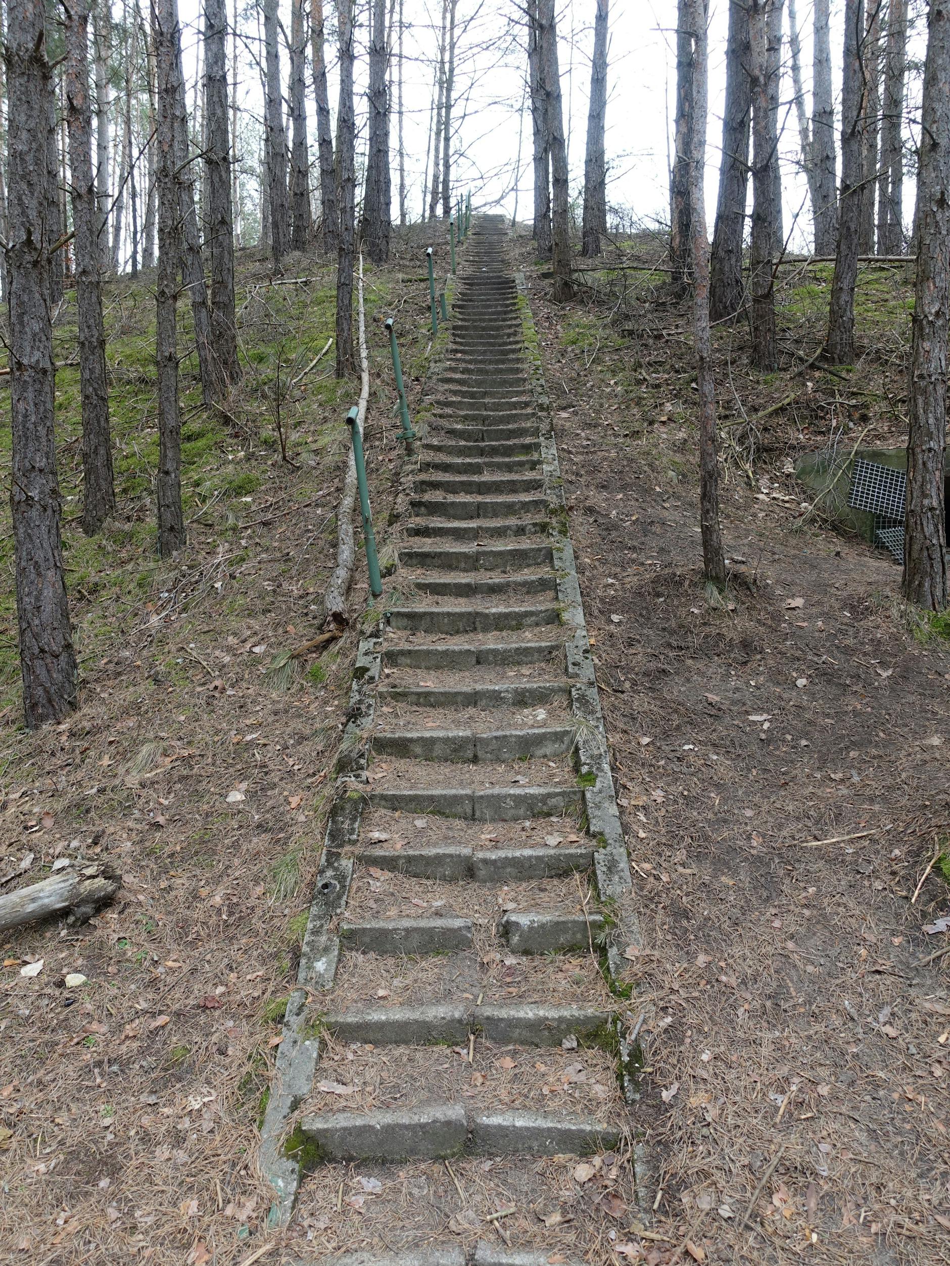 Eine verwitterte Treppe mitten im Wald führt auf die Kuppe, unter der sich der Tank versteckt.
