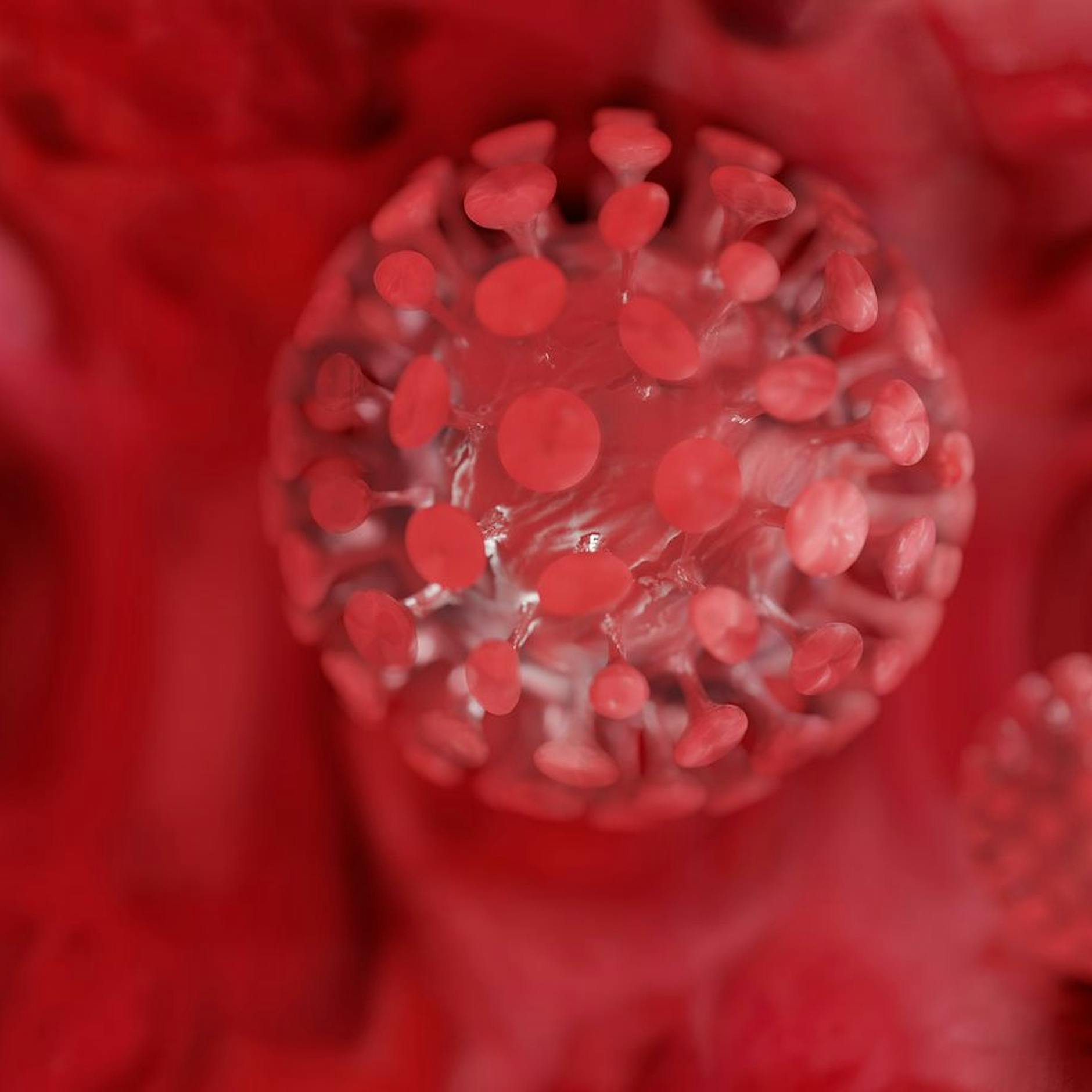 Expertenrat zu Omikron-Welle: Kontaktbeschränkungen dringend notwendig