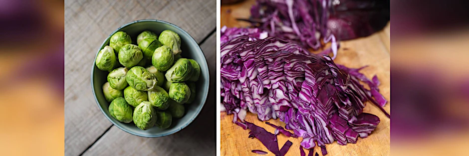 Rosenkohl und Rotkohl in einem Gericht geht nicht? Das ist nicht wahr: Dieser Auflauf schmeckt hervorragend.