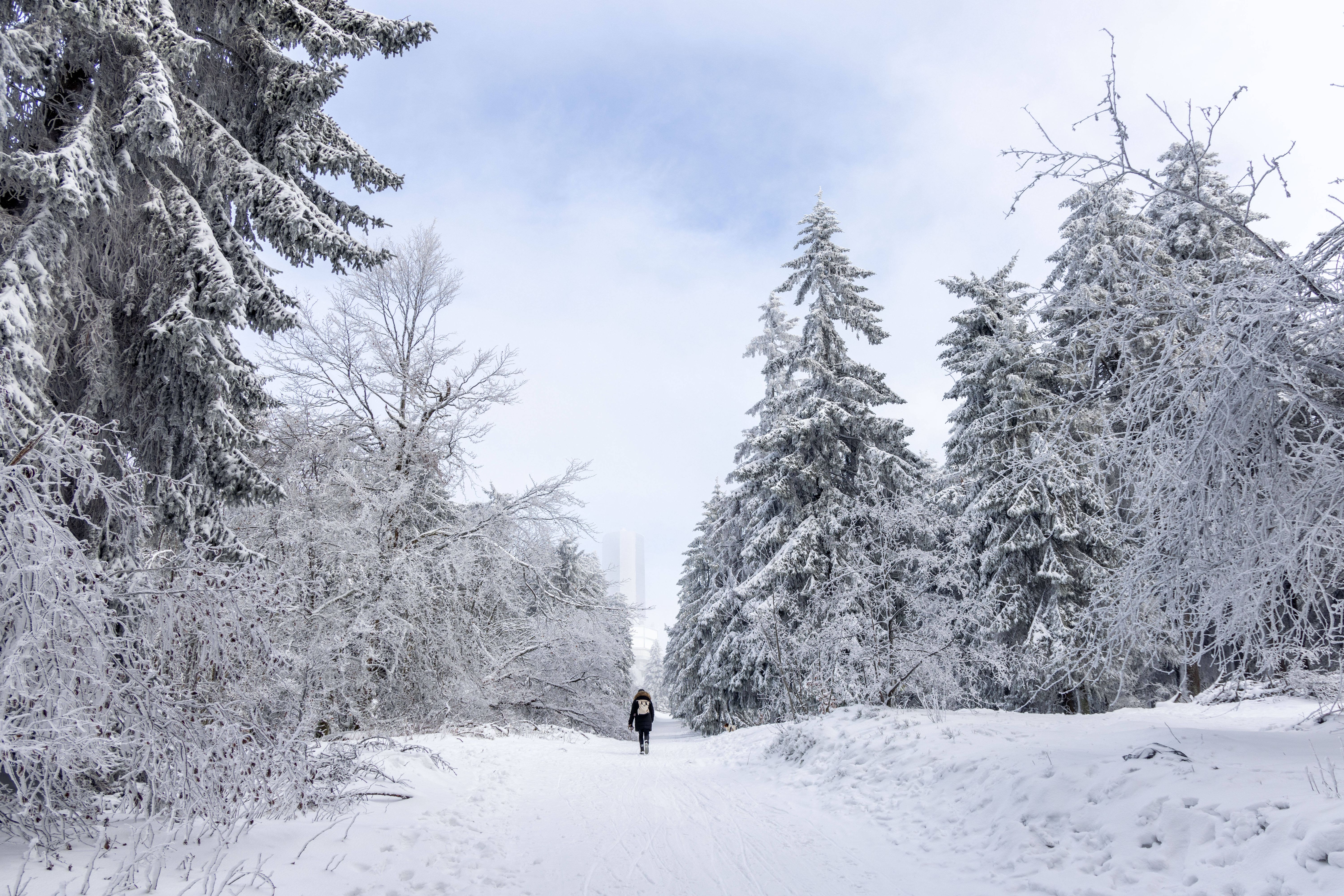 Wetterwahnsinn An Weihnachten: 40 Cm Schnee Im Norden!