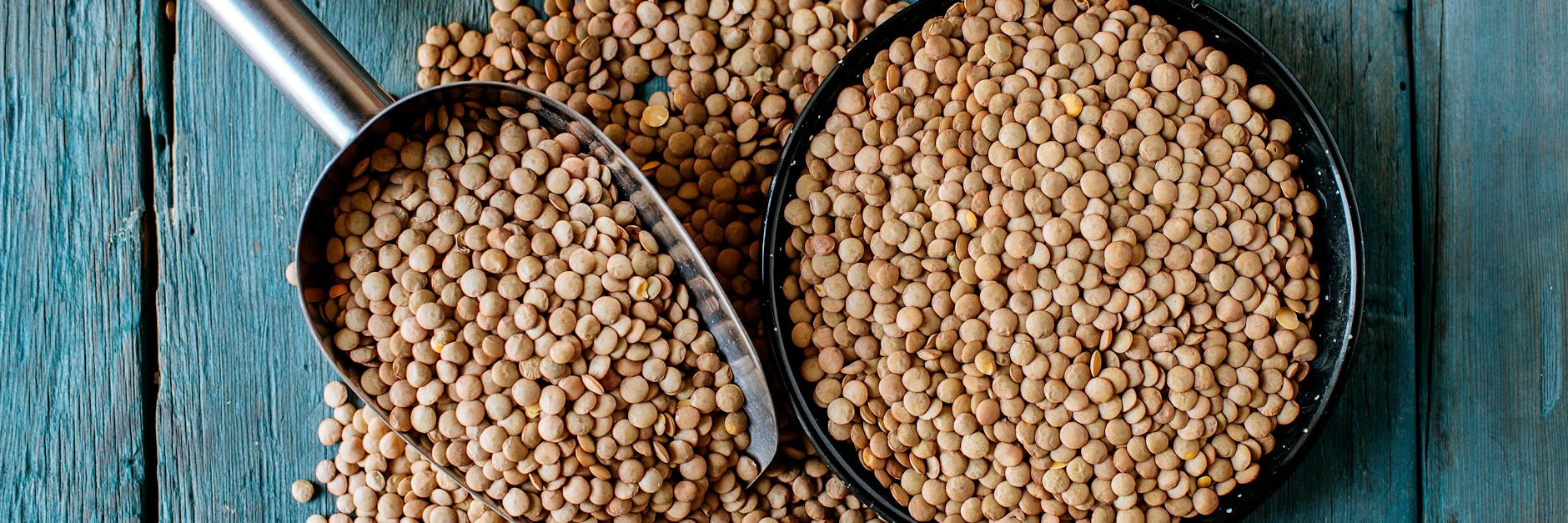 Vielseitig und gesund; Linsen 