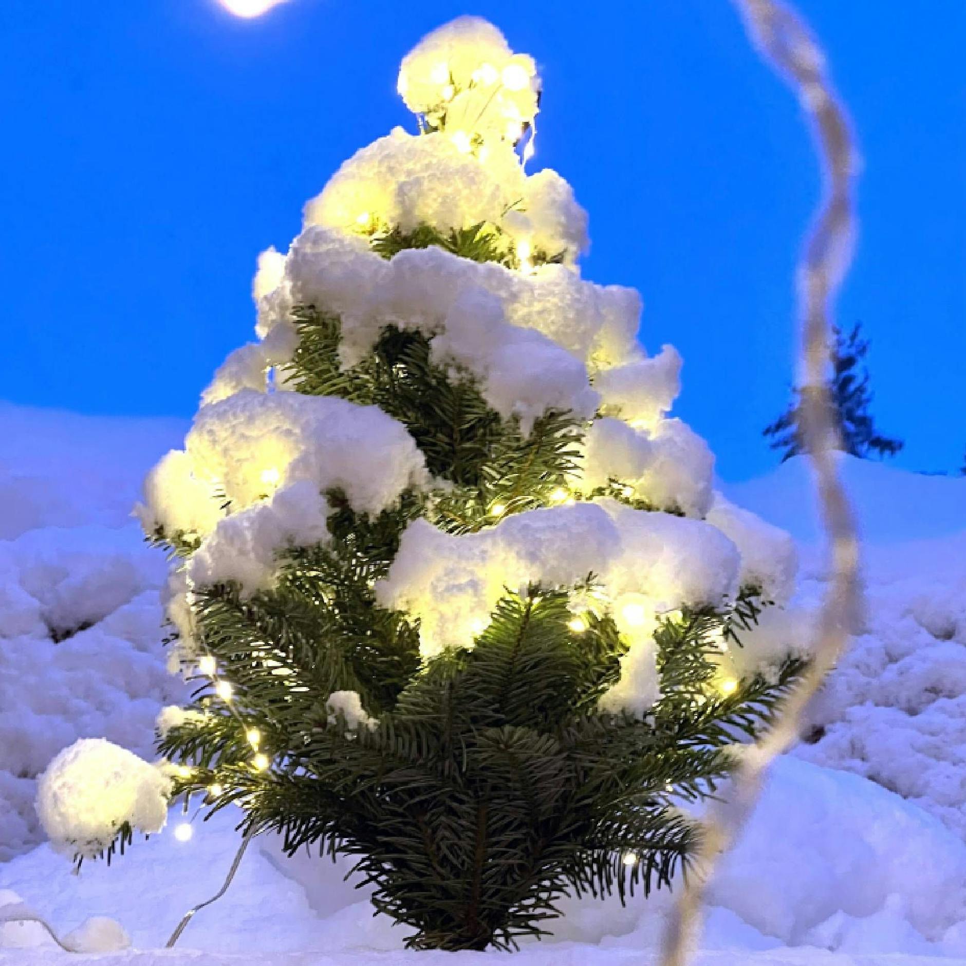 Wetter-Prognose für die Feiertage: Die Allermeisten werden keinen Schnee sehen – KURIER verrät, wo es doch weiße Weihnachten geben könnte!